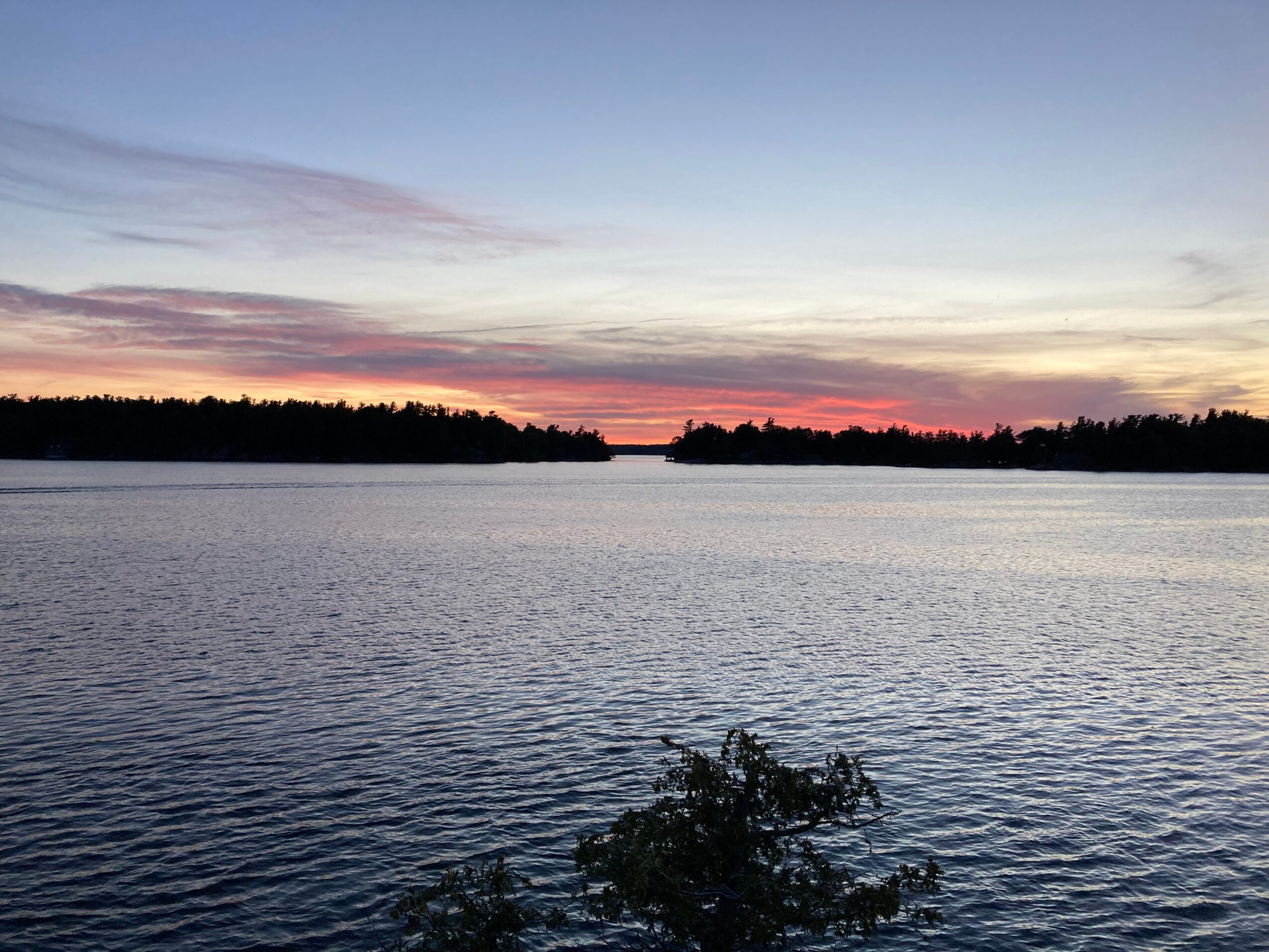 Sunset over a calm lake with trees on the horizon and a small bush in the foreground.