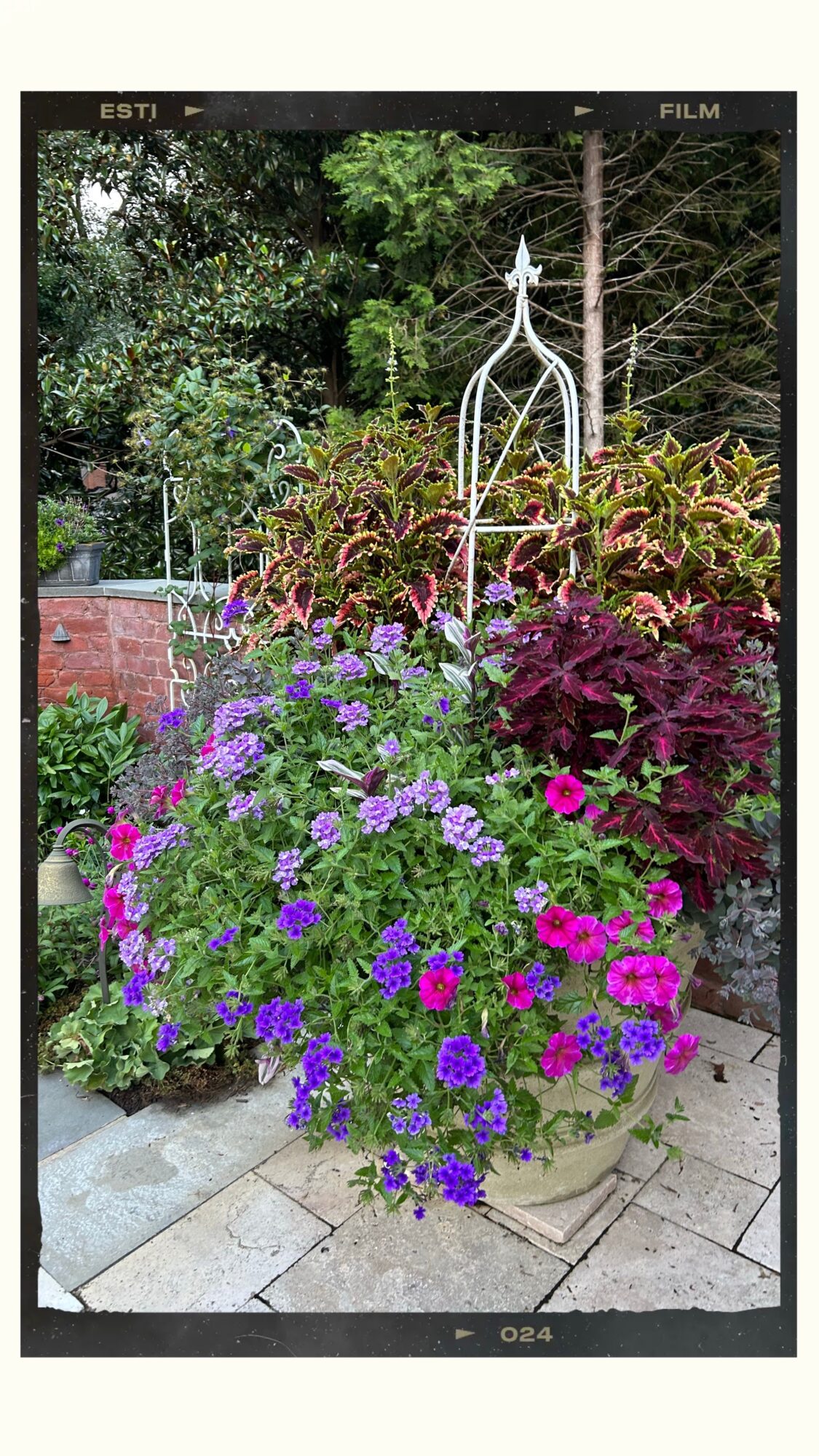 Flower arrangement with purple, pink, and green plants in a container, with a decorative white metal structure in the background.