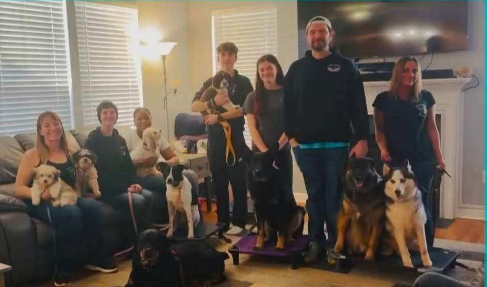 Group of people with dogs in a living room, some sitting and some standing, with a TV and window blinds in the background.