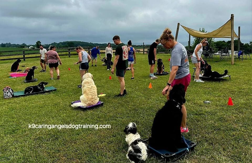 People and dogs participating in an outdoor training session on a grassy field with tents and equipment nearby.