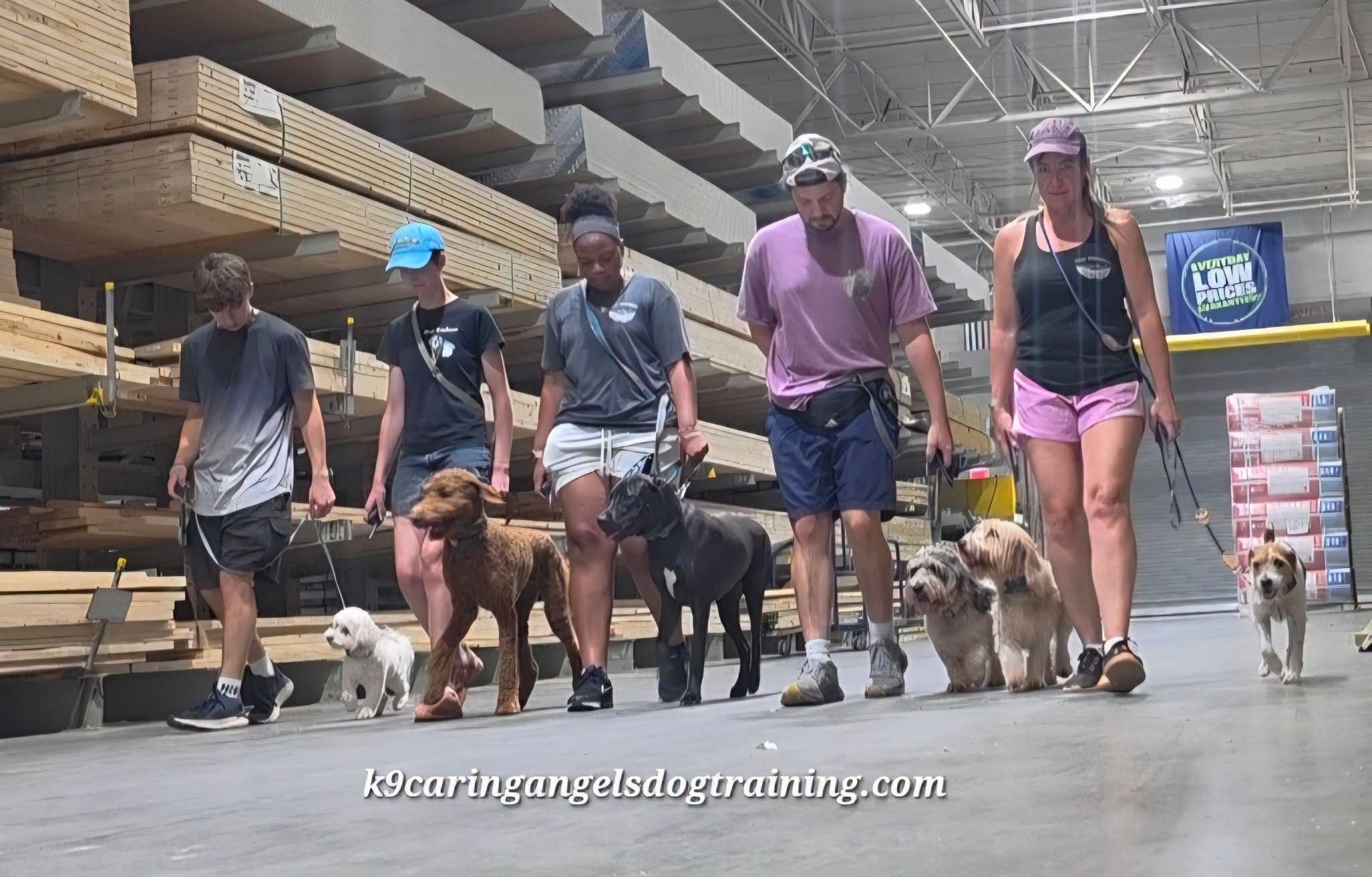 Group of five people walking with dogs inside a store, shelves with wood and other items in background.
