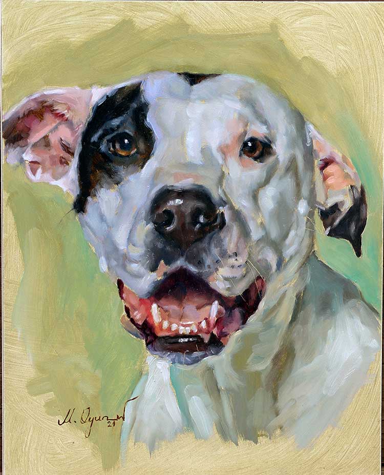 Portrait of a smiling dog with a black and white face, pink ears, and a green background.