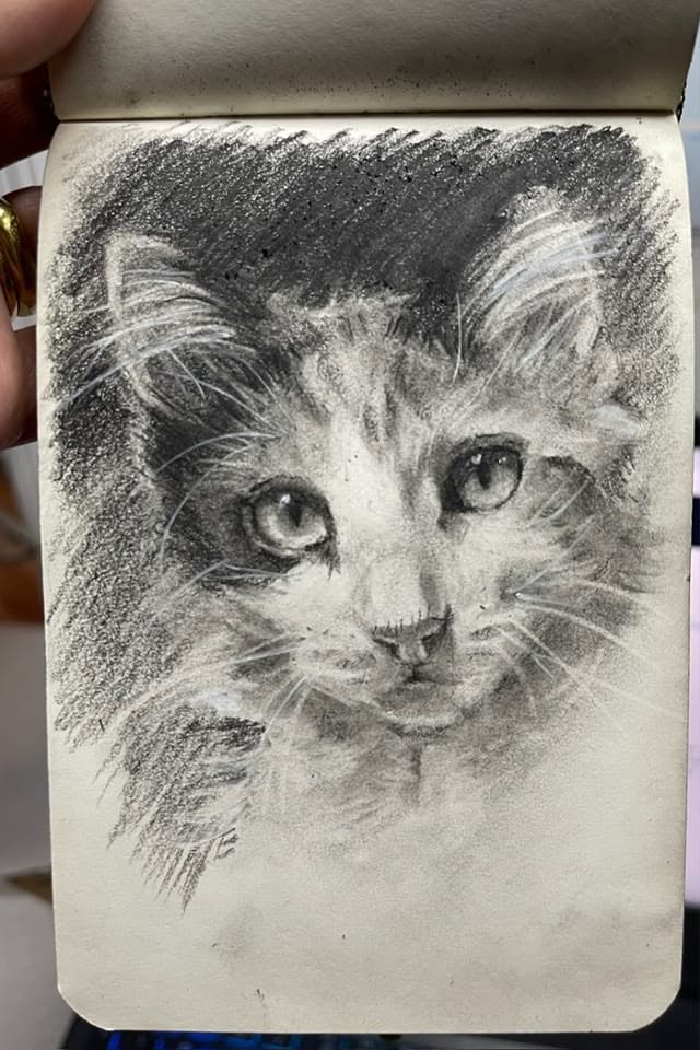 Detailed pencil sketch of a kitten's face with expressive eyes and fur texture.