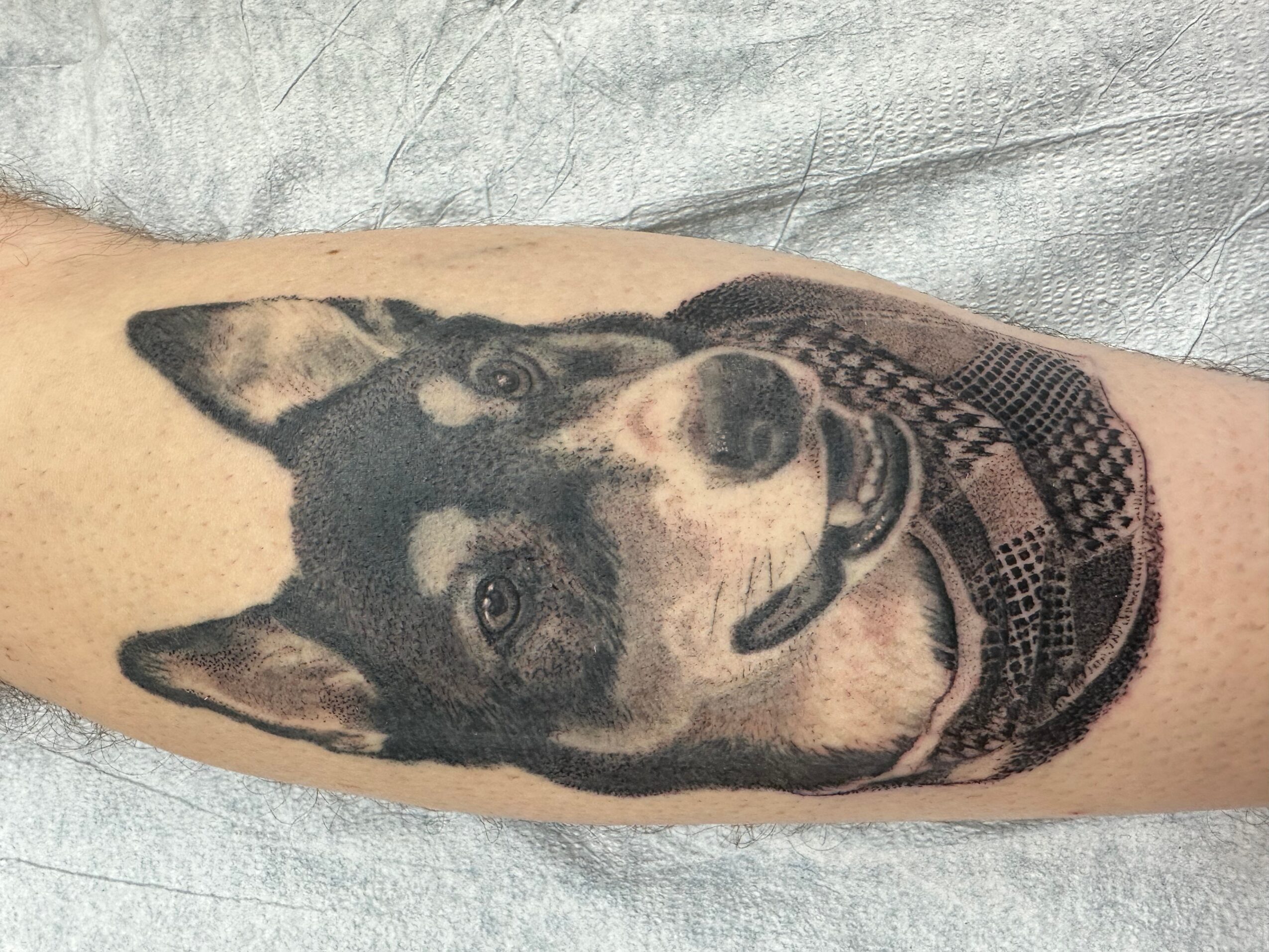 Tattoo of a dog's face with pointed ears, wearing a collar, on person's arm.