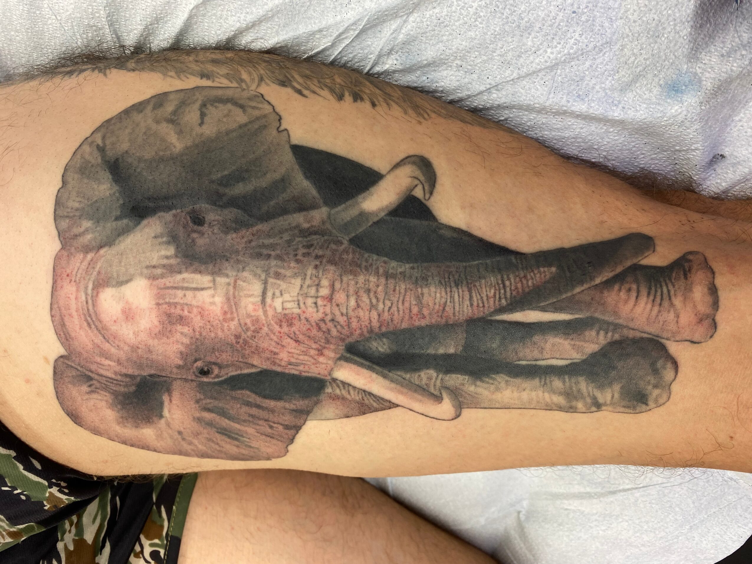 Tattoo of an elephant on a person's arm, with the trunk and legs visible, lying on a white surface.