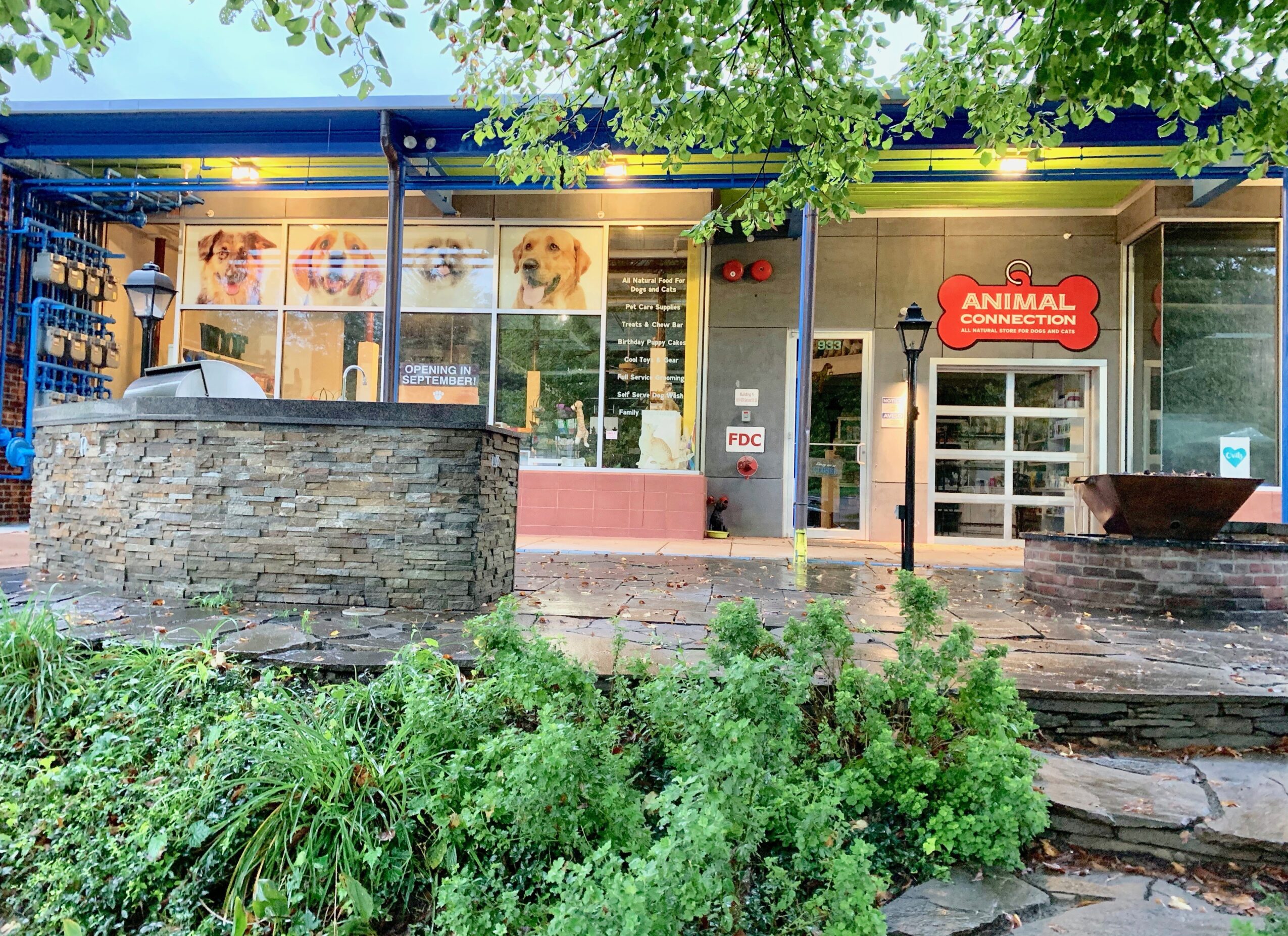 Animal rescue store with large windows, stone fountain, and greenery outside, under a tree with leaves overhead.