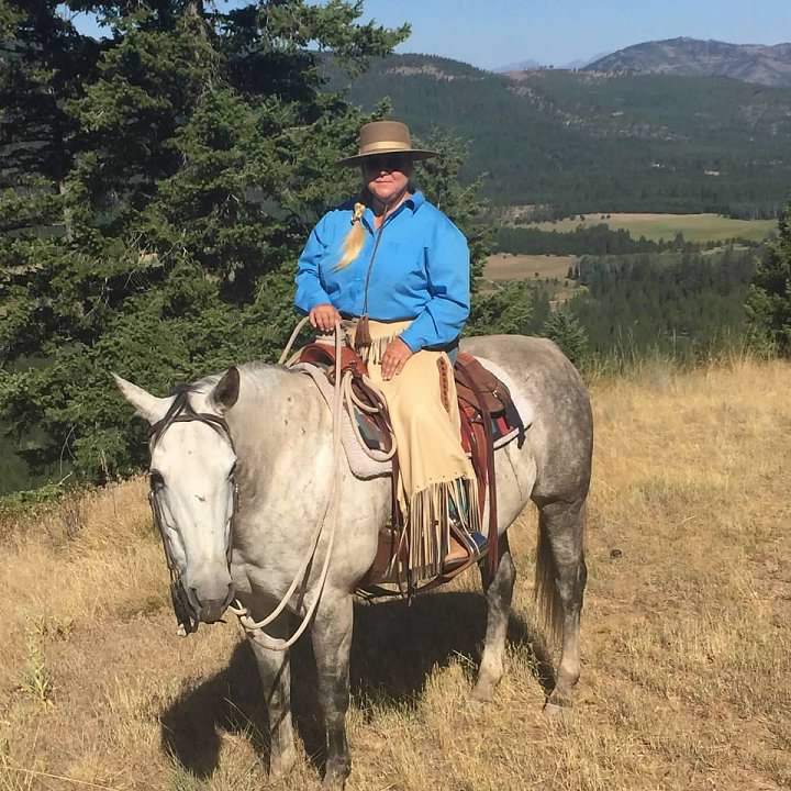 Person wearing a blue shirt and hat riding a gray horse in a grassy field with trees and mountains in the background.
