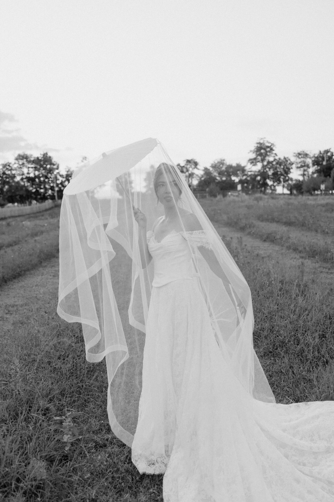 Person in wedding dress holding umbrella outdoors, veil flowing, trees and open field in background.