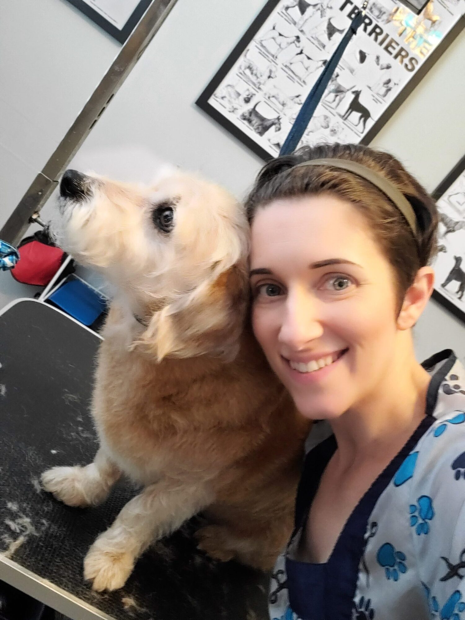 Life & Work with The Pin Up Groomer of Virginia