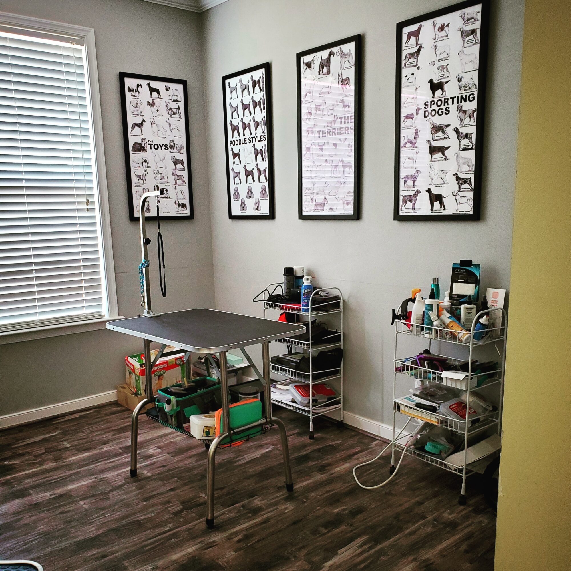 Veterinary examination room with a table, three metal carts with supplies, and four framed posters on the wall.