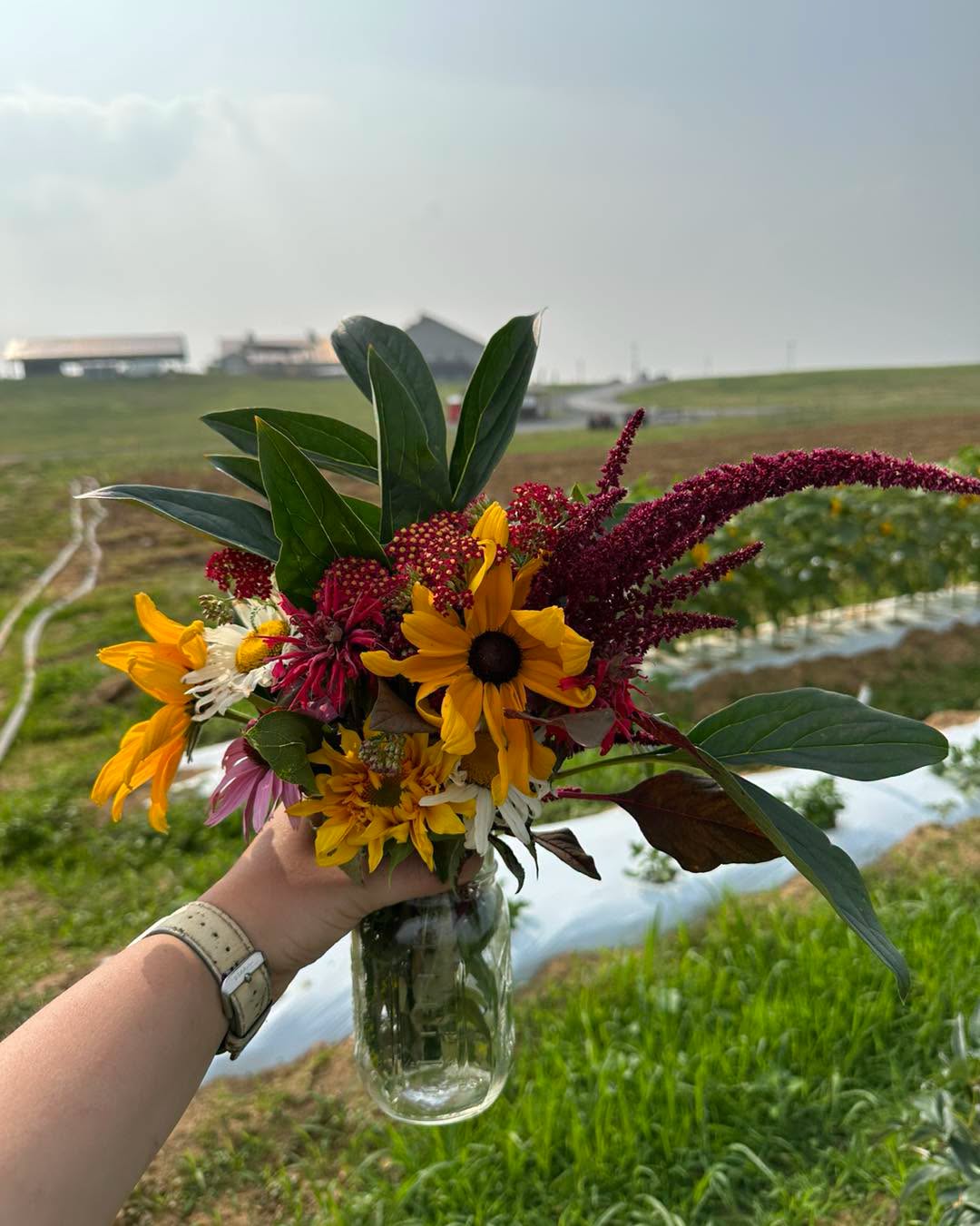Person holding a colorful flower bouquet in a glass jar outdoors with fields and sky in background.