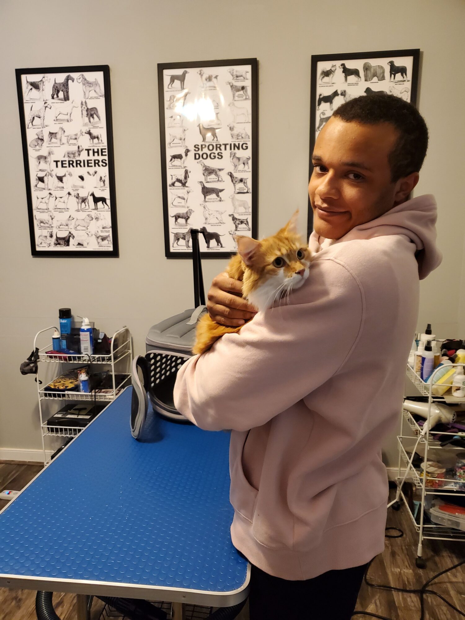 Person holding a small dog, standing in a room with framed pictures on the wall, a blue table, and various items.