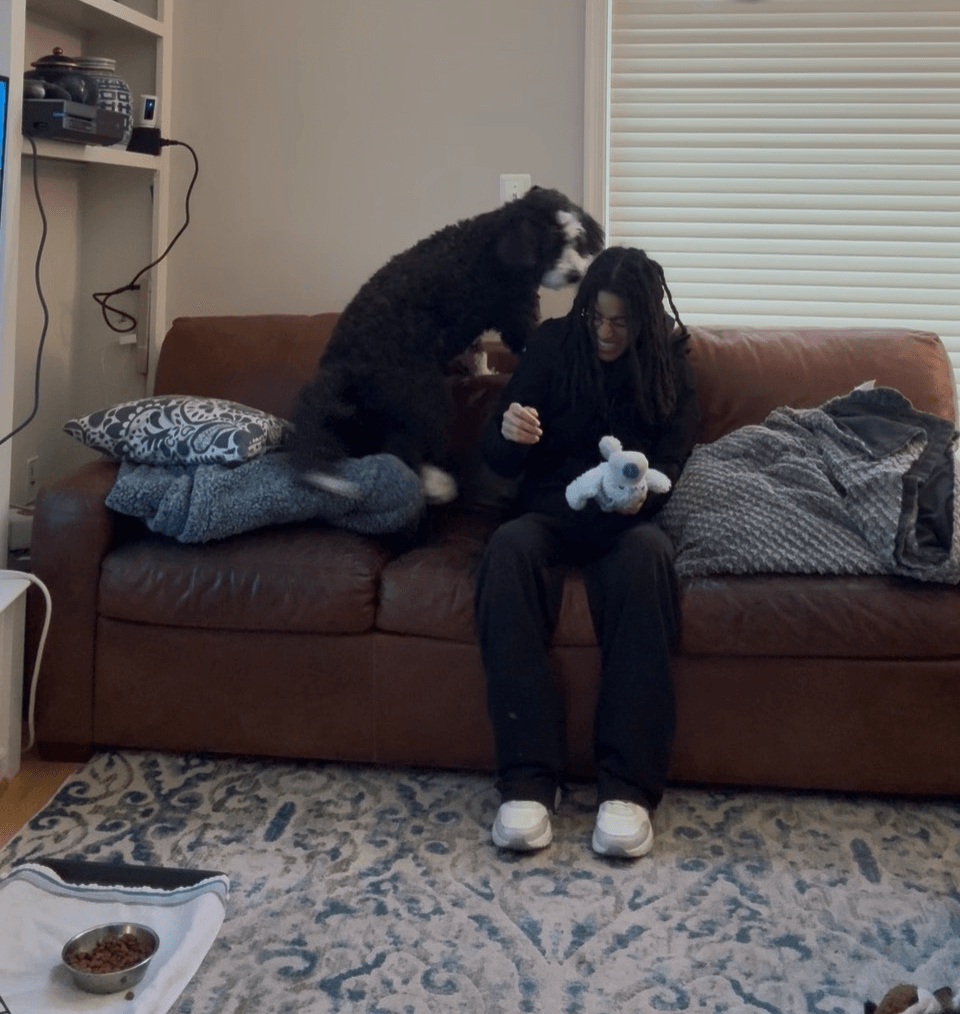 Person sitting on a couch holding a stuffed animal, dog jumping on their lap, living room with window and patterned rug.