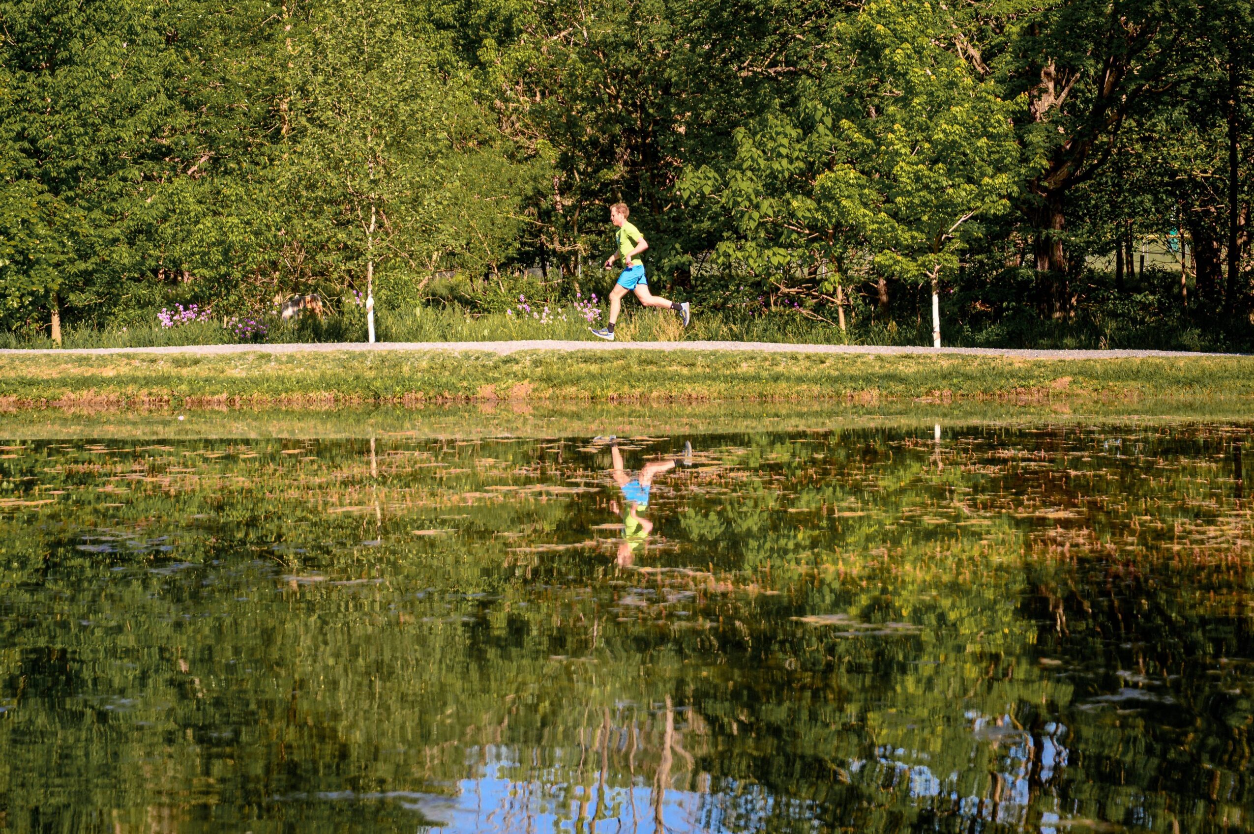 Person running along a path with trees in the background, reflected in a body of water, creating a mirror image.