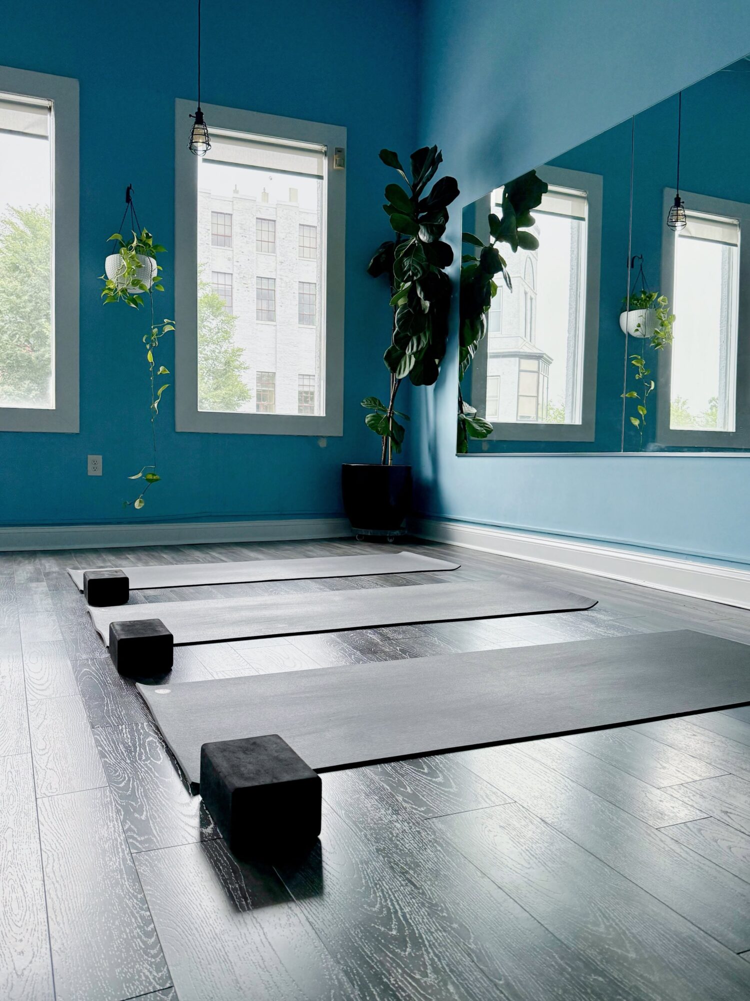 Yoga mats on a dark wooden floor near windows with a plant and mirror, sunlight streaming in, blue walls.