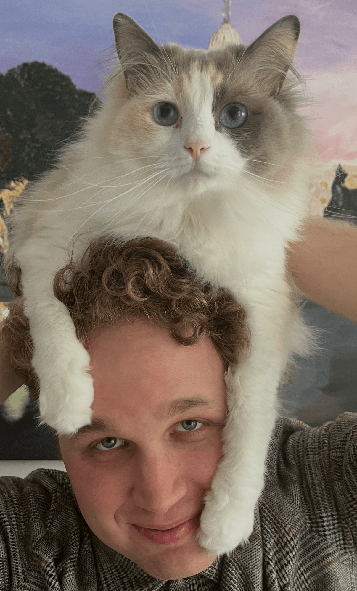 Person with curly hair smiling, a large fluffy cat with blue eyes resting on their head, outdoor background.