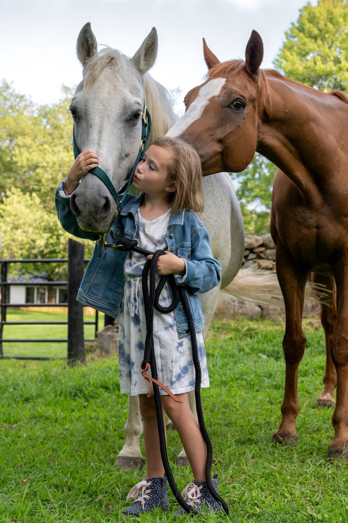 Young girl holding horse's reins, touching its face, with another horse nearby in a grassy outdoor setting.