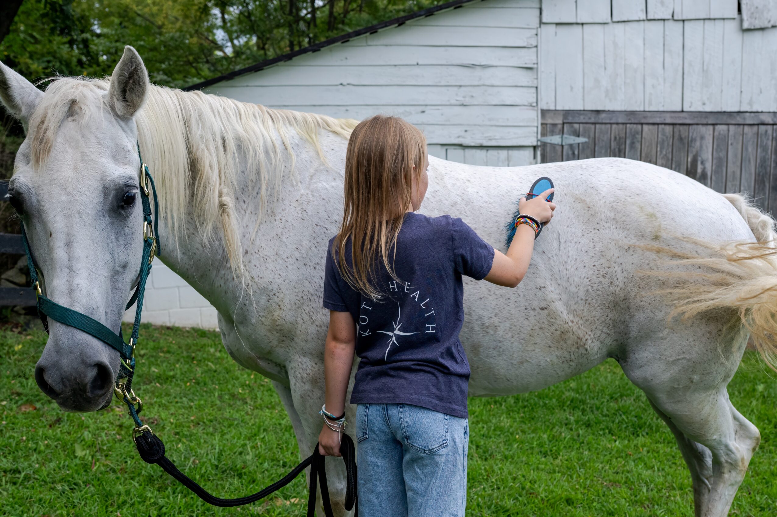 Child with long hair petting a white horse outdoors near a barn, holding the horse's lead rope.