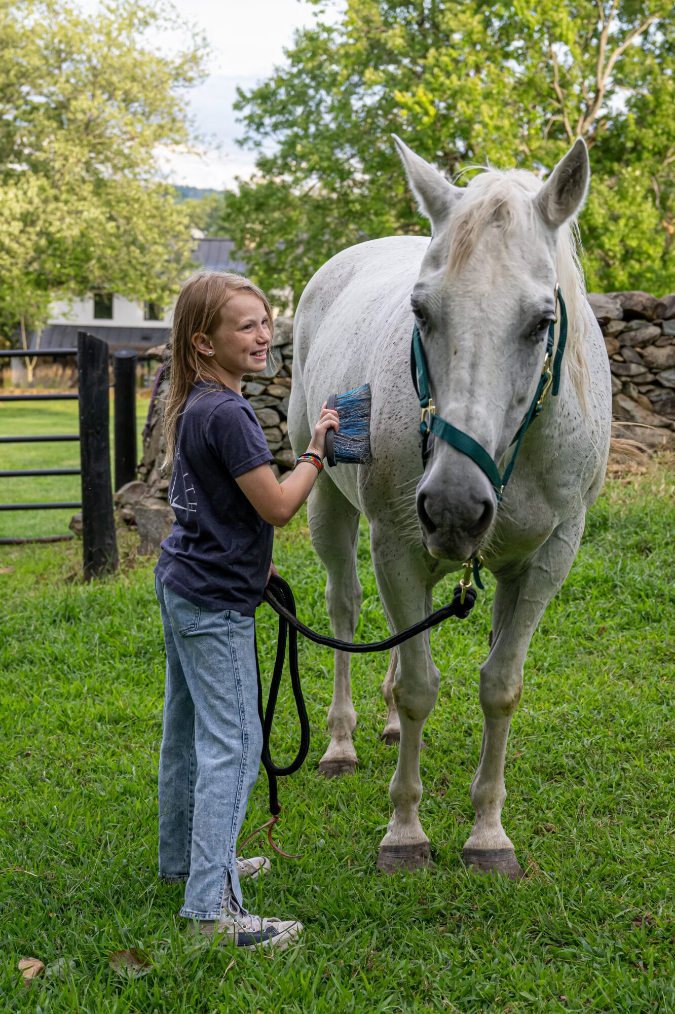Girl brushing a white horse outdoors with trees and a fence in the background.