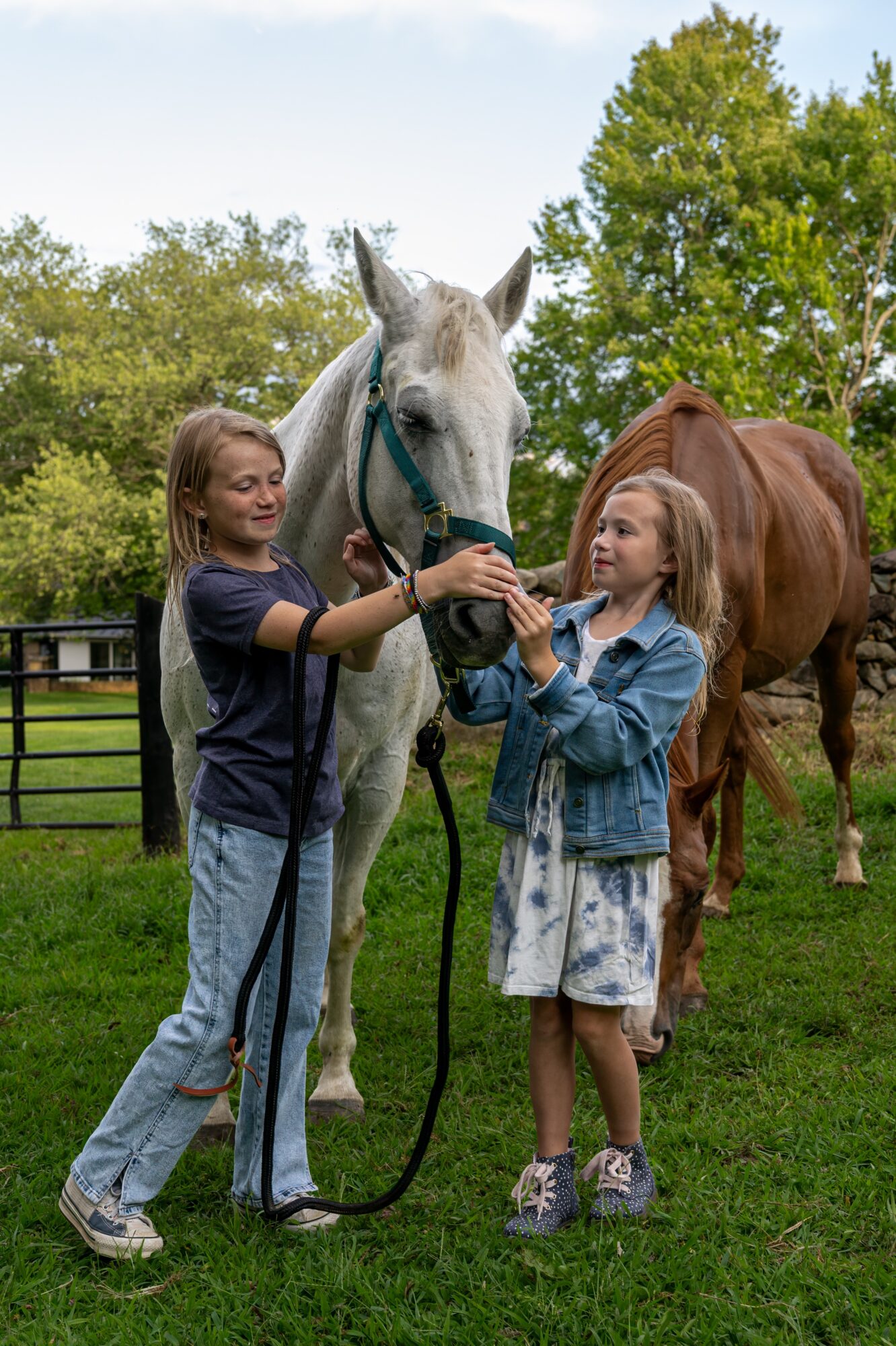 Two girls stand with a white horse outdoors, holding its bridle, with trees and a brown horse in the background.