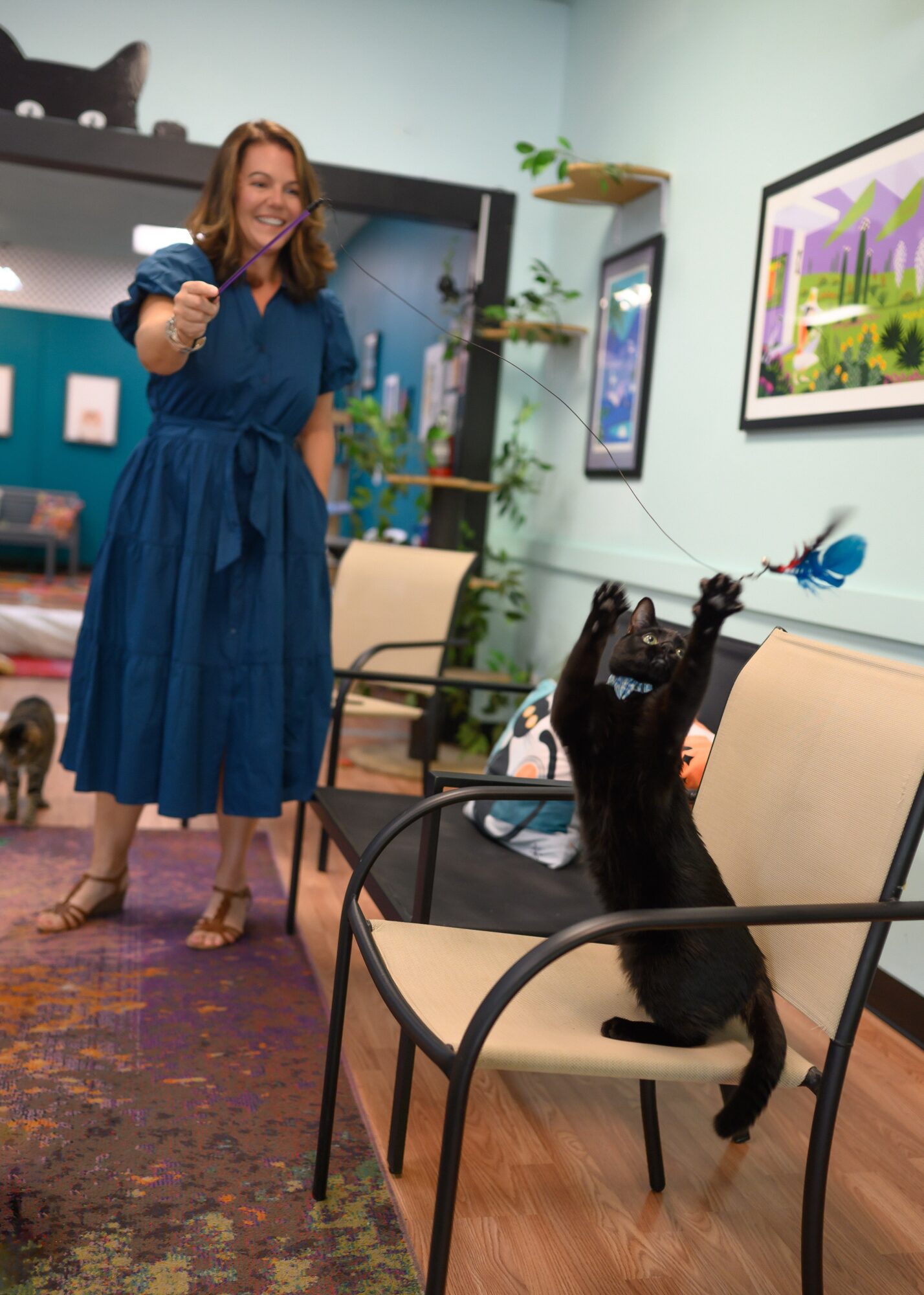 Woman in blue dress playing with a black cat on a chair in a colorful room.