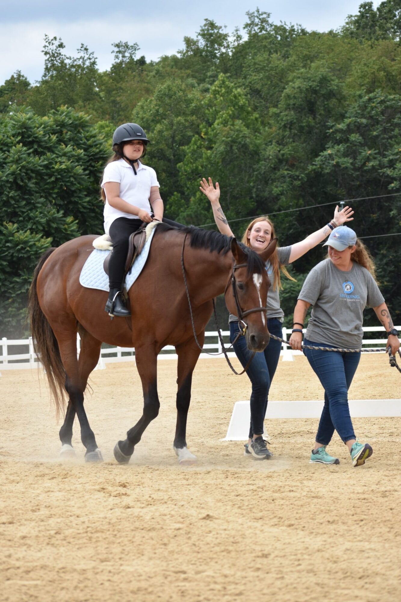 Exploring Life & Business with Ada Haensel of Speaking of Horses Incorporated