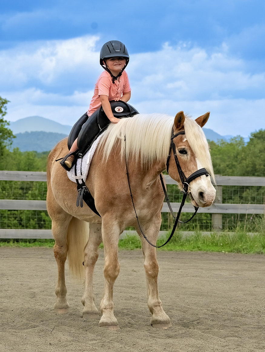 Child riding a light-colored horse with a black helmet and pink shirt outdoors, with a blue sky and green landscape in background.