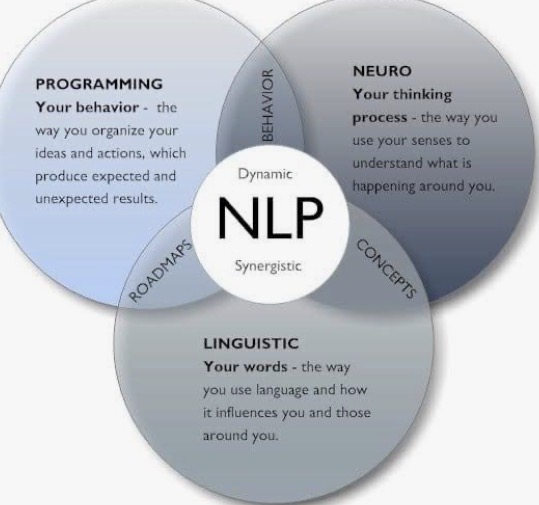 Venn diagram showing NLP components: programming, neuro, and linguistic, with descriptions of each and a central NLP label.