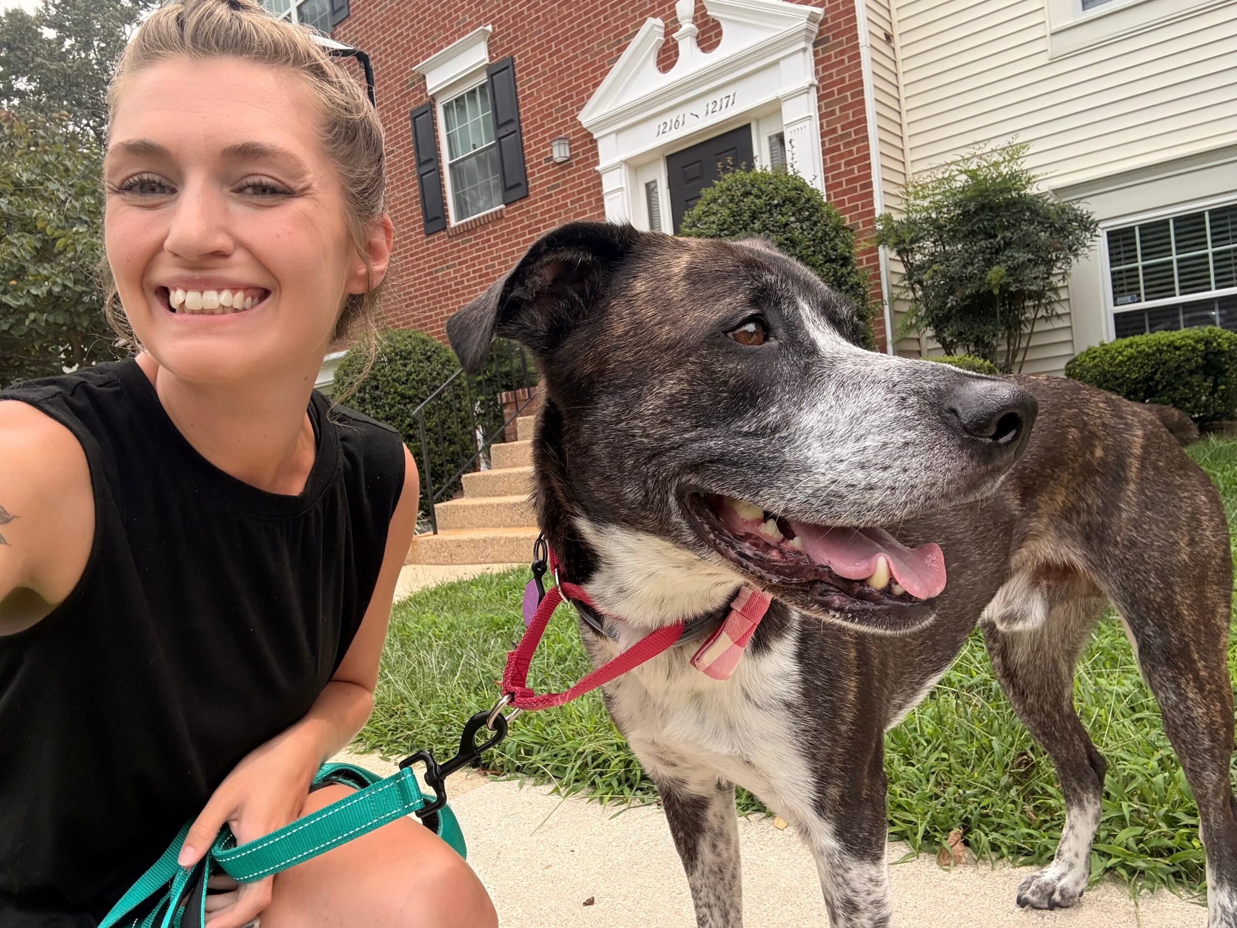 Smiling woman taking selfie with large dog on leash outside houses, green grass and bushes in background.