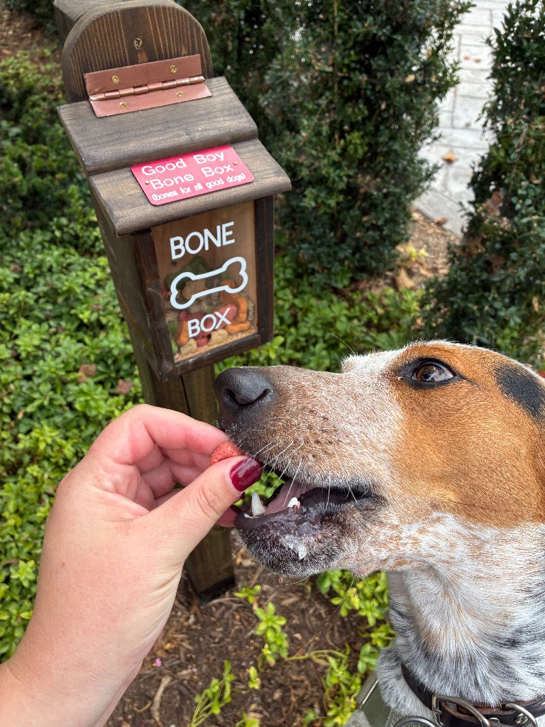 Person feeding a dog near a wooden dog bone mailbox with pink and white signs, surrounded by greenery.