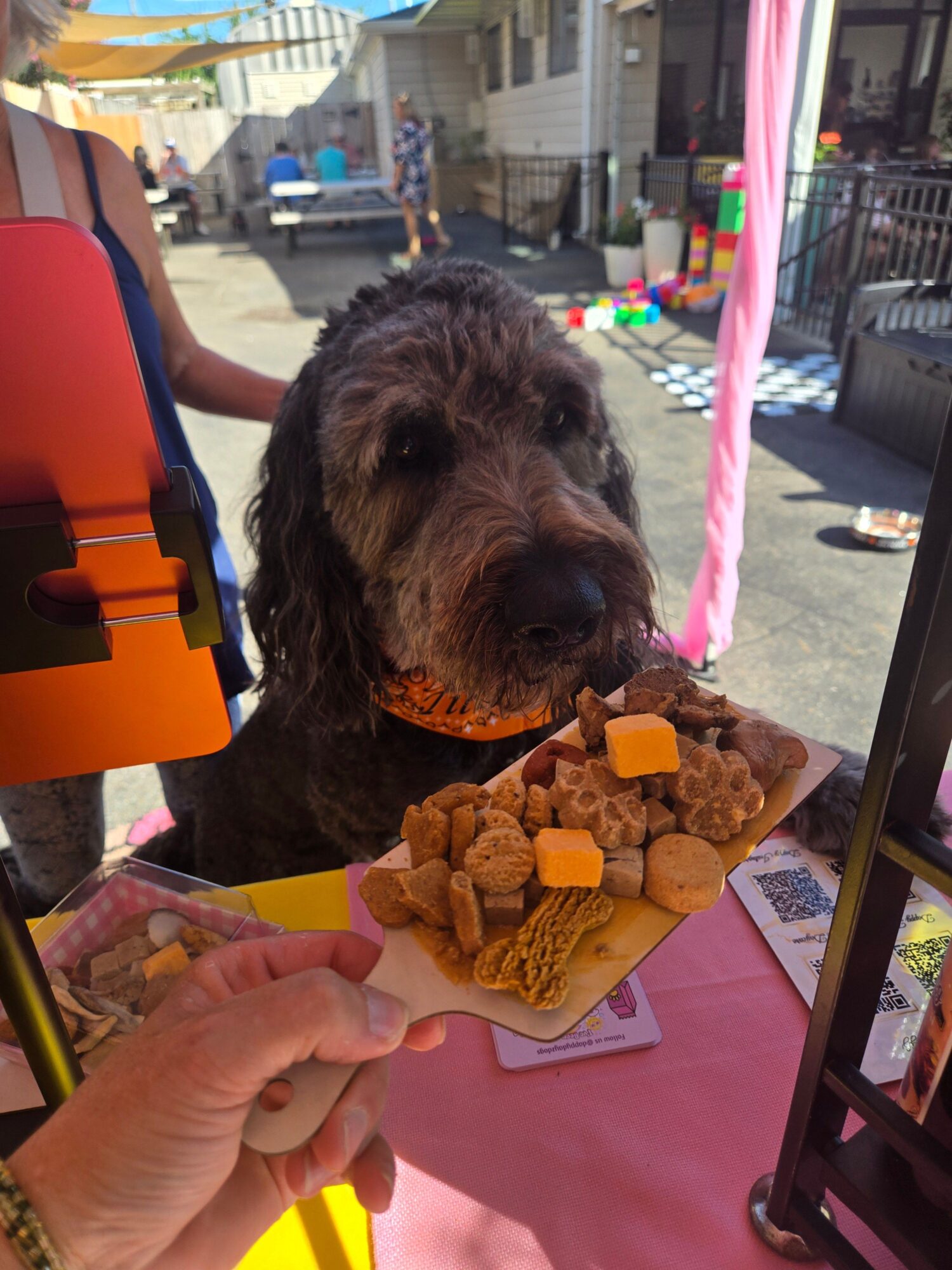 Person holding a plate of food with a dog nearby, outdoor setting with colorful decorations and buildings