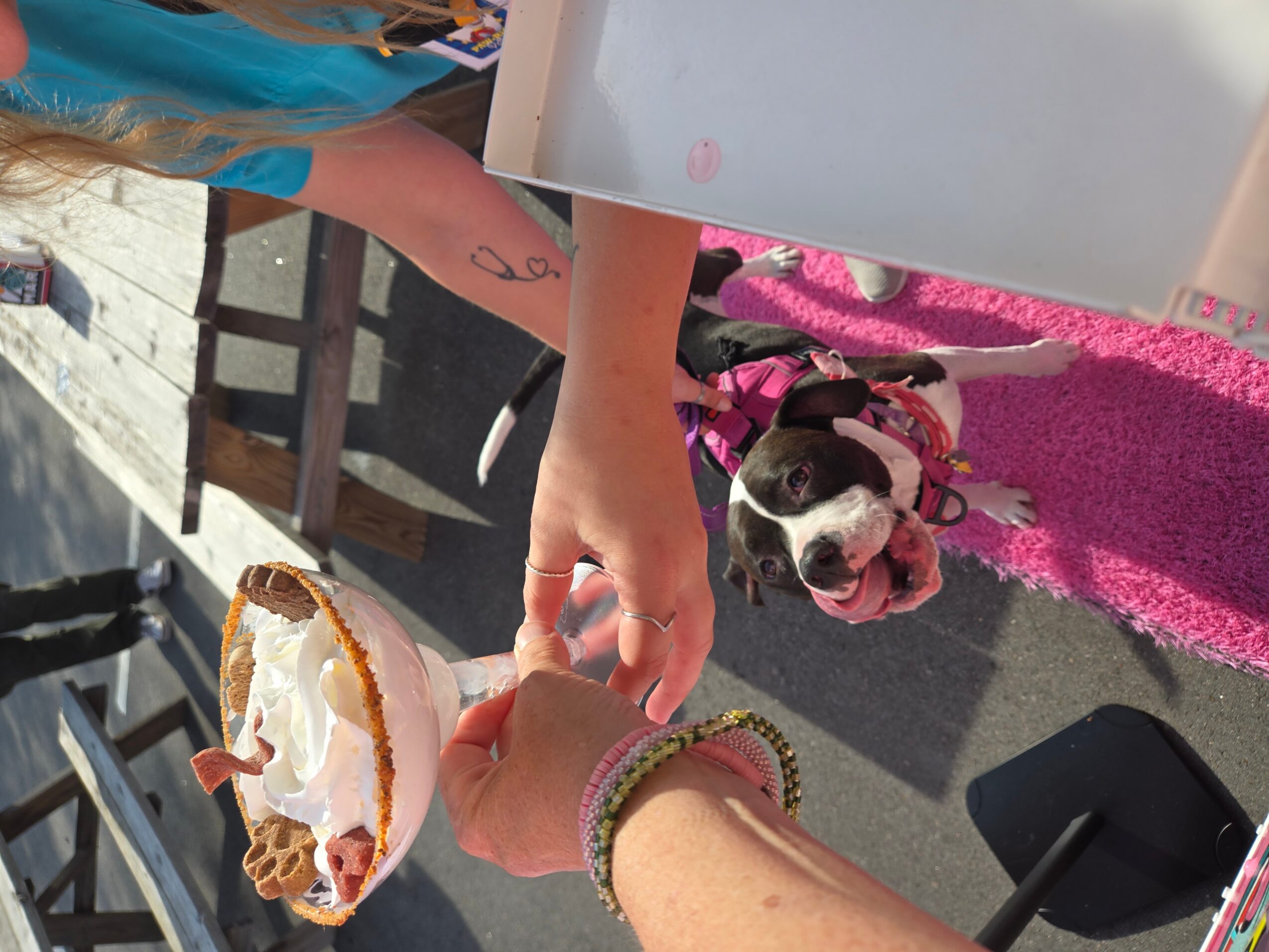 Person holding a slice of pizza with a dog looking up at them, on a pink blanket outdoors.
