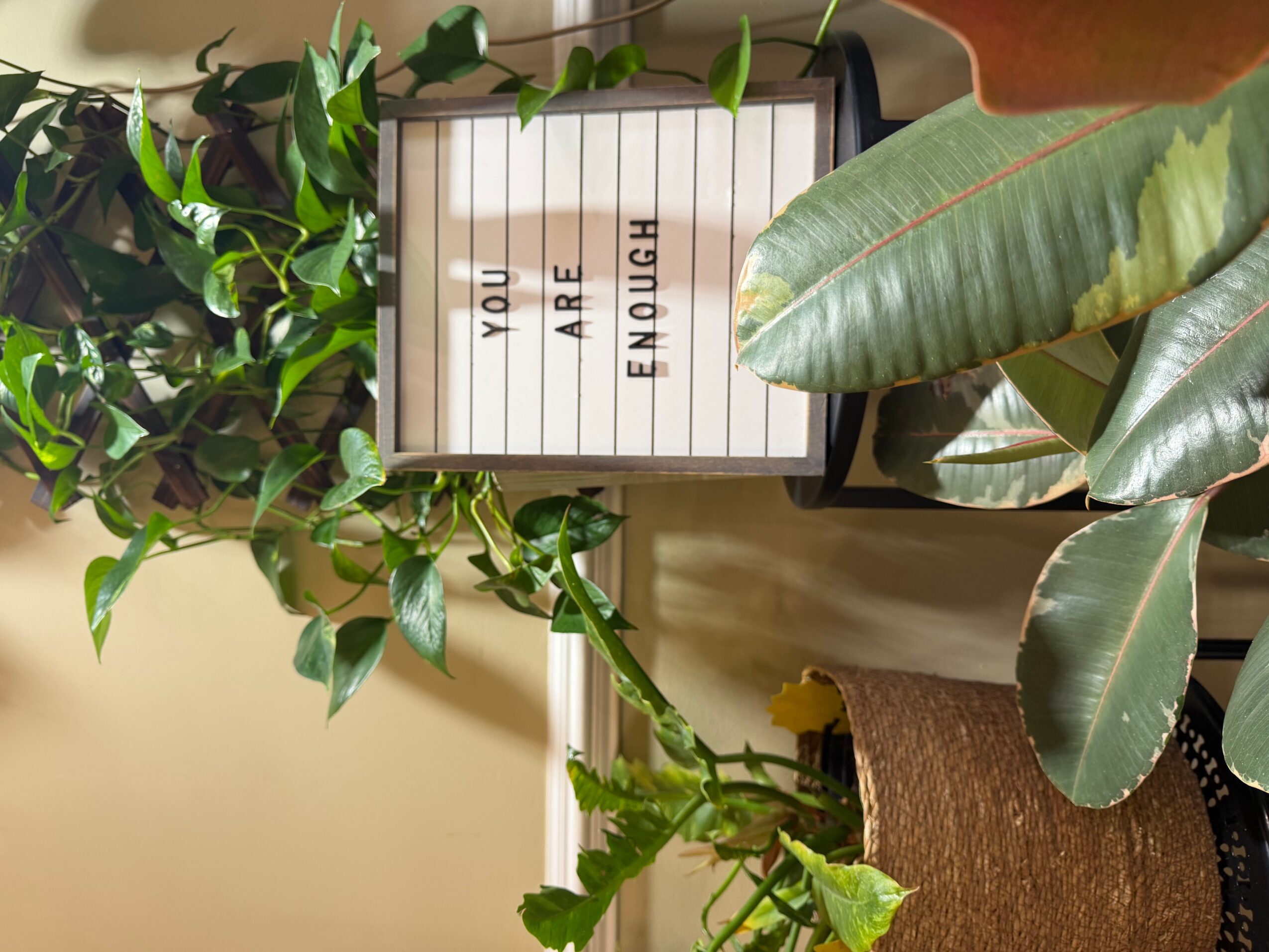 Plants with green leaves surround a lightbox sign that reads 'YOU ARE ENOUGH'.