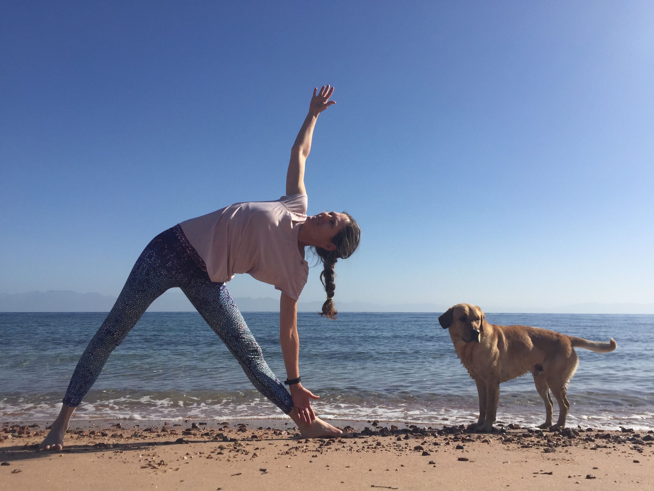 Person lying on beach with dog, both facing the water, clear sky, sandy shore, person reaching out, dog sitting nearby.