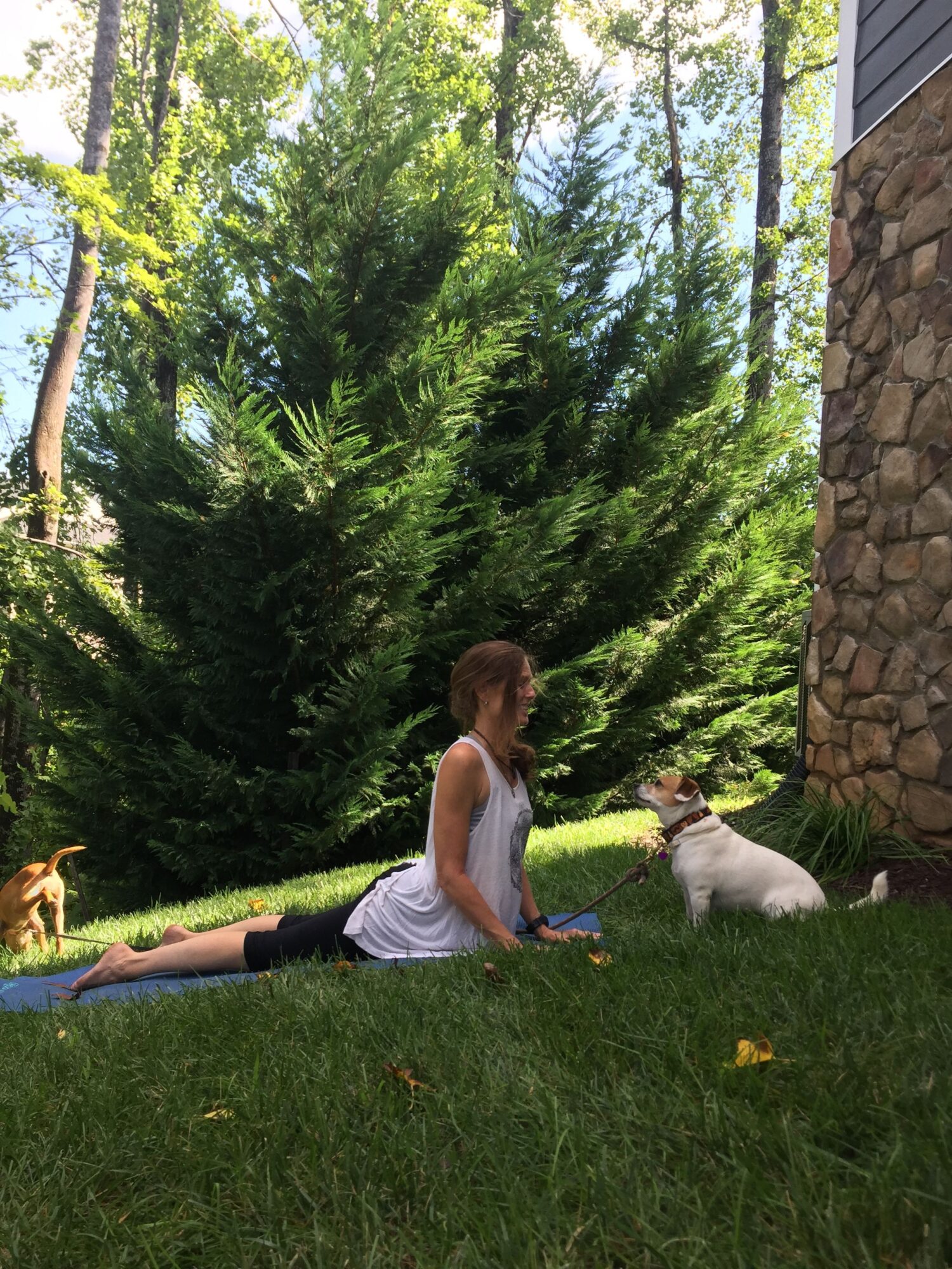 Girl sitting on grass near trees and a stone wall, holding a phone, with a dog lying nearby.
