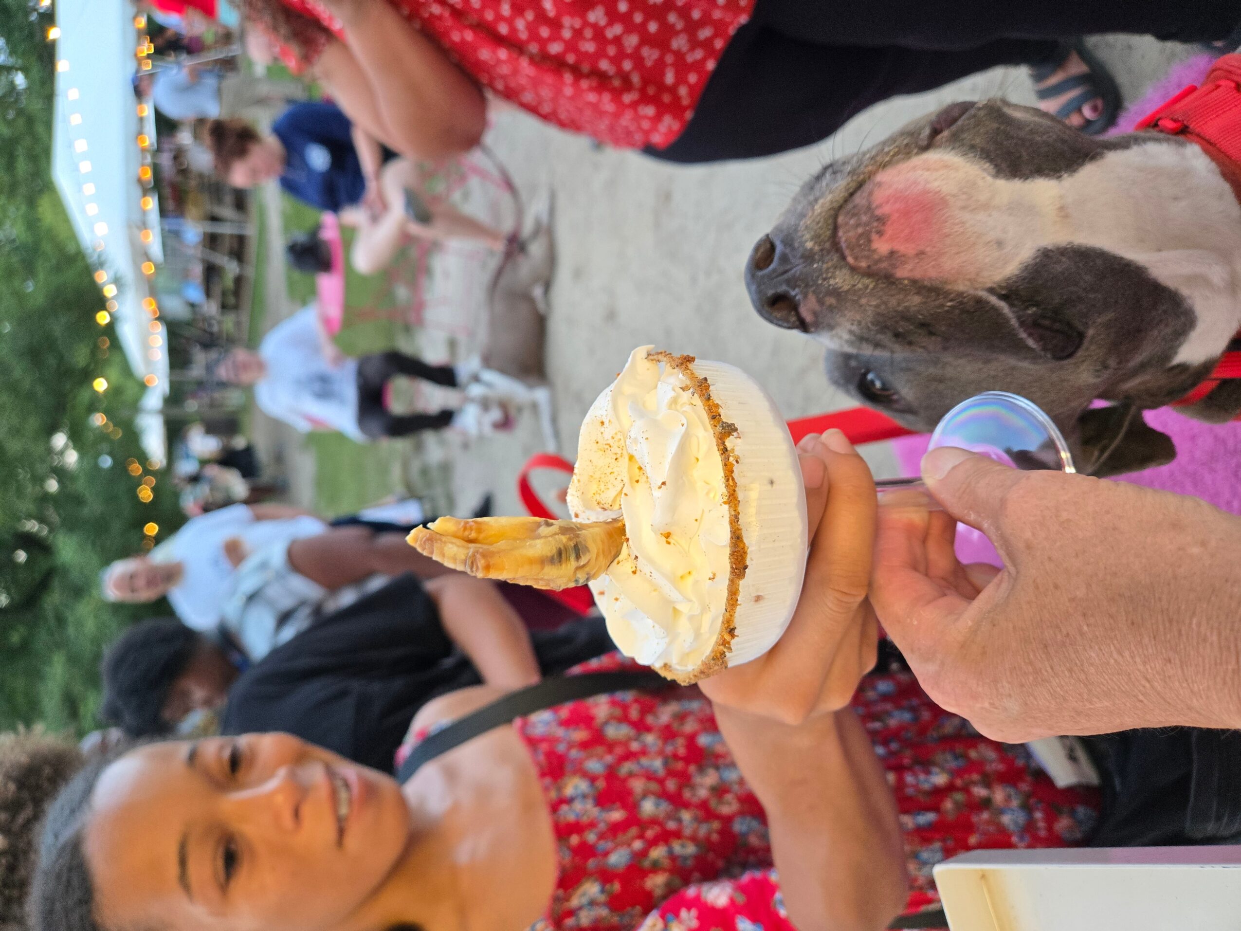 Person holding a cake with a candle, a pig nearby, and people in the background at an outdoor event.