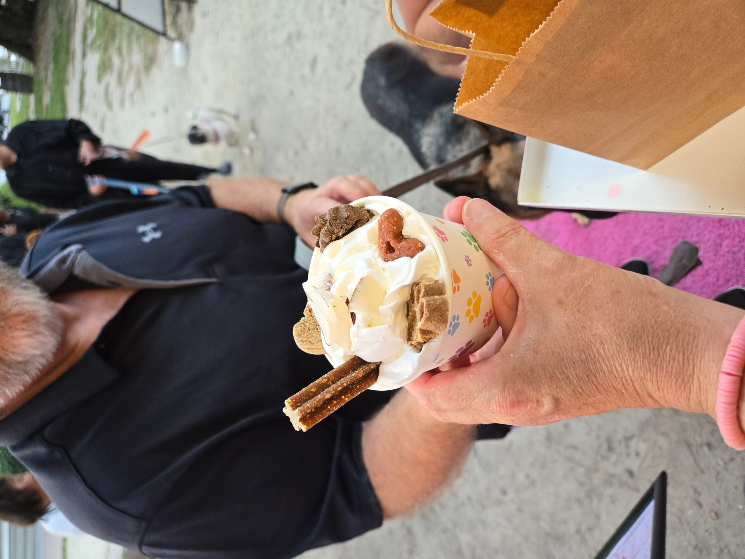 Person holding a cup of ice cream with whipped cream, a heart-shaped cookie, and a wafer stick, in an outdoor setting.