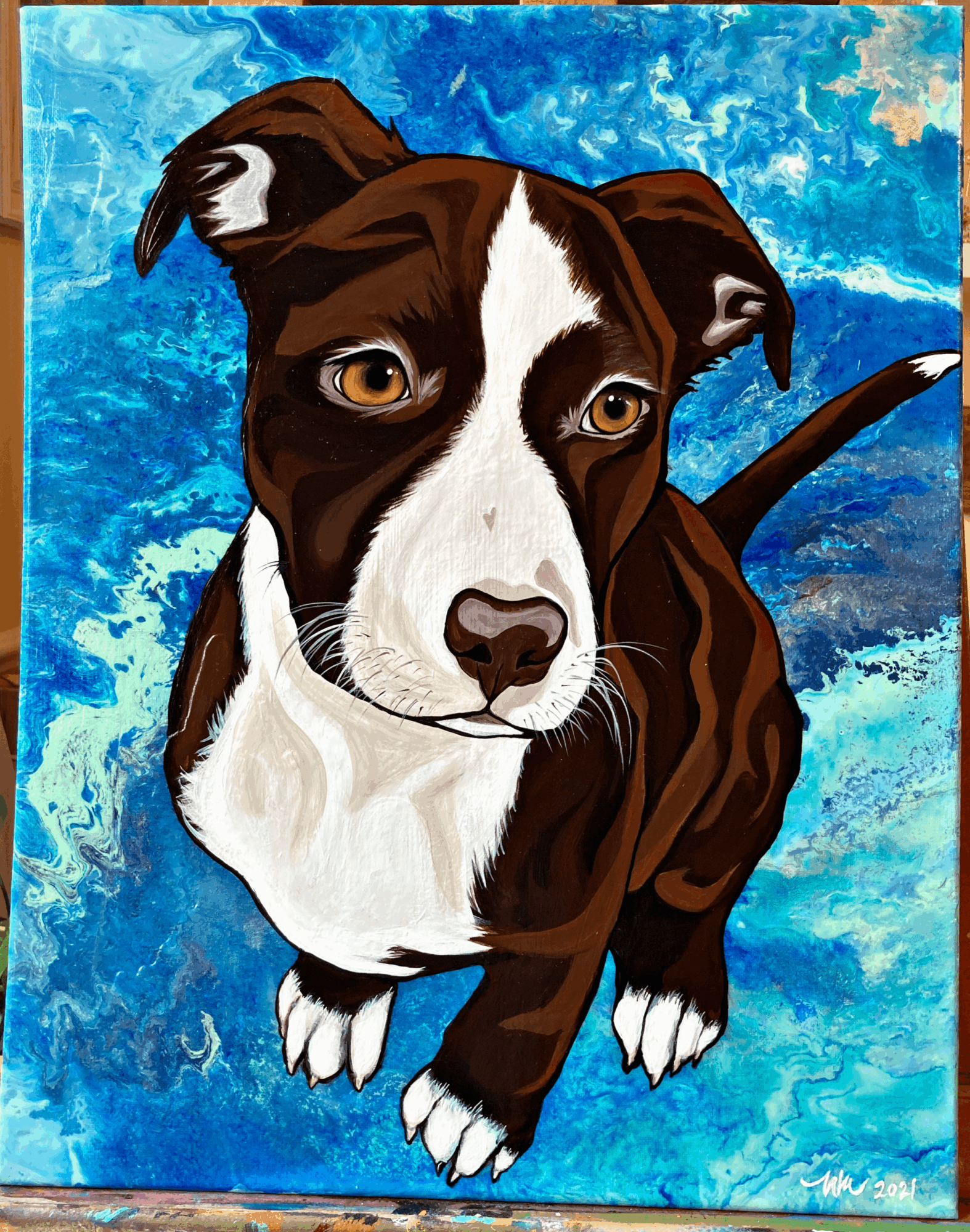 A brown and white dog with one eye blue and one eye brown, looking up against a blue background.