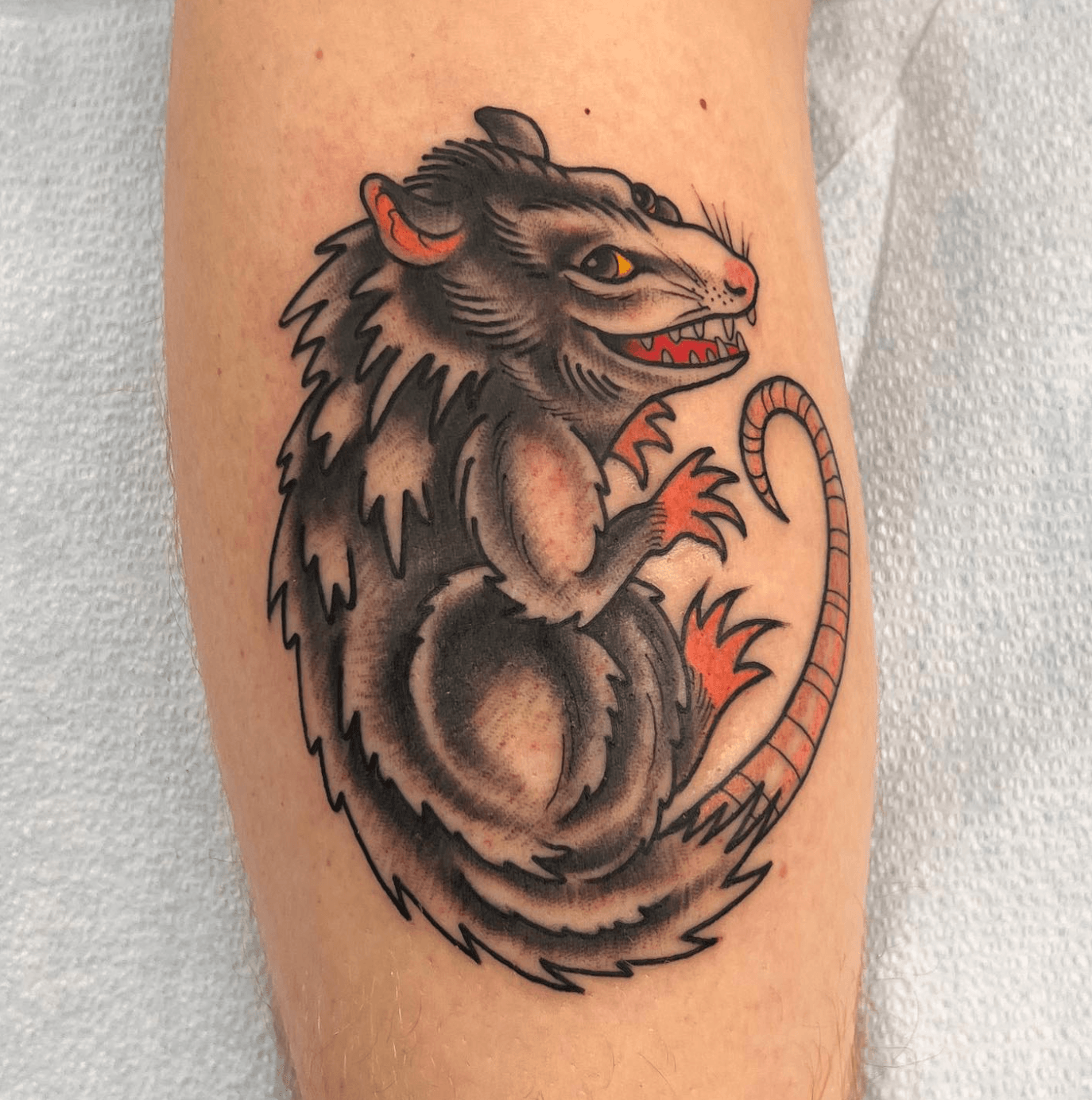 Tattoo of a fierce, stylized rat with sharp teeth, detailed fur, and a long, curled tail.