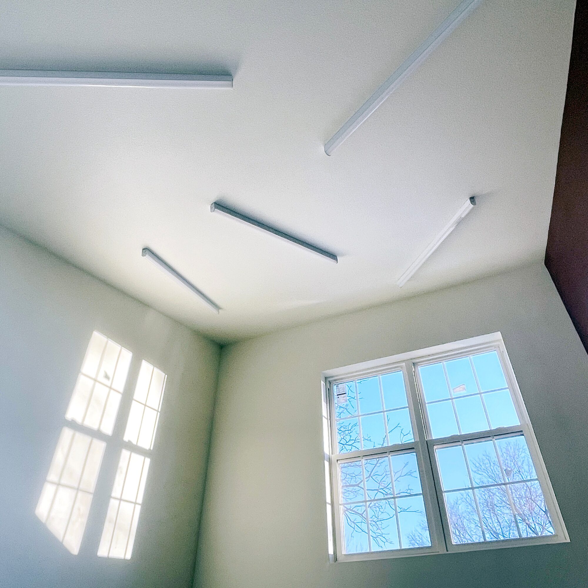 Ceiling with four light fixtures, sunlight through window casting shadow, and a second window showing trees outside.