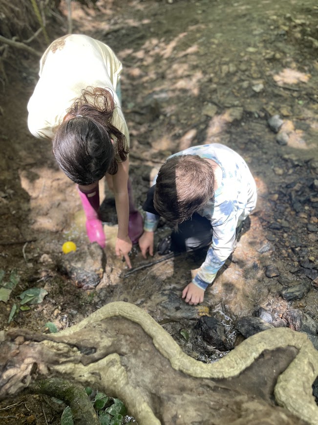 Two children crouch down on a rocky ground, examining something with their hands, surrounded by natural outdoor scenery.