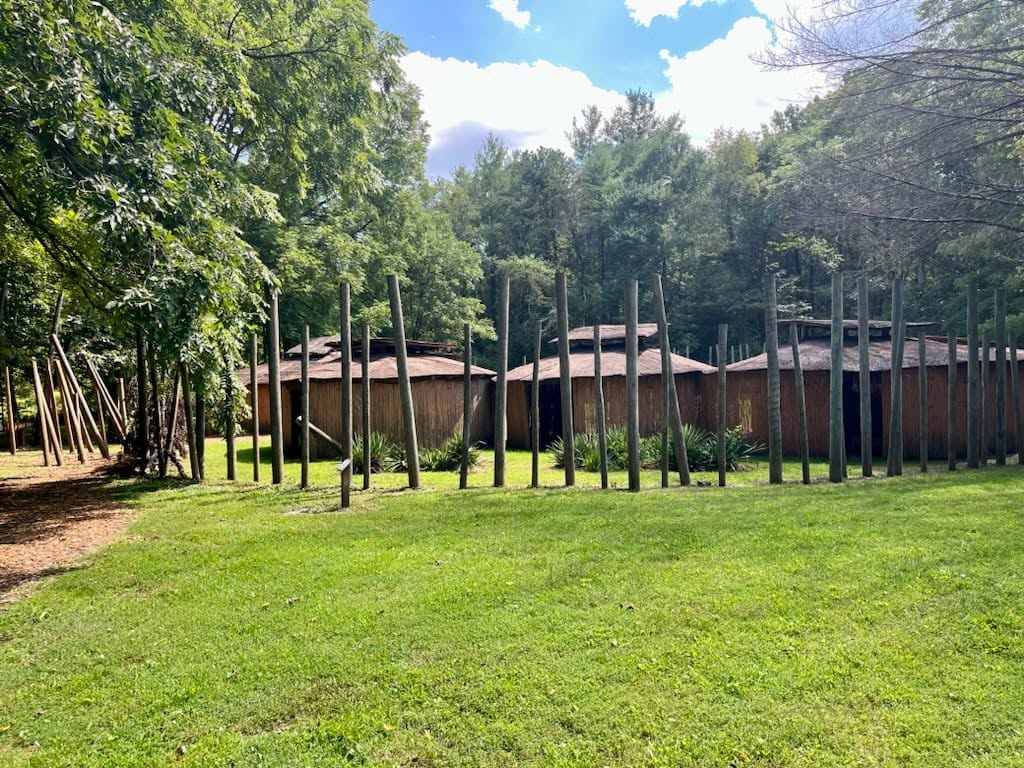 A grassy area with trees and wooden structures in the background, under a partly cloudy sky.