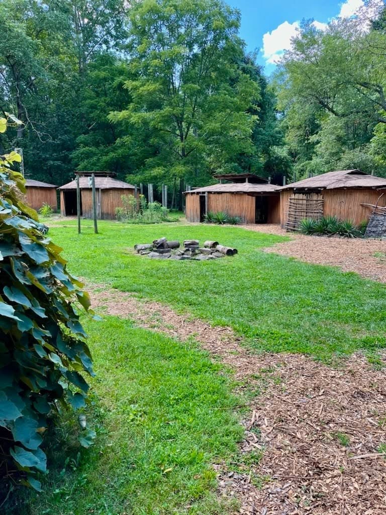 A grassy outdoor area with wooden structures in the background, a fire pit in the center, and trees surrounding the scene.