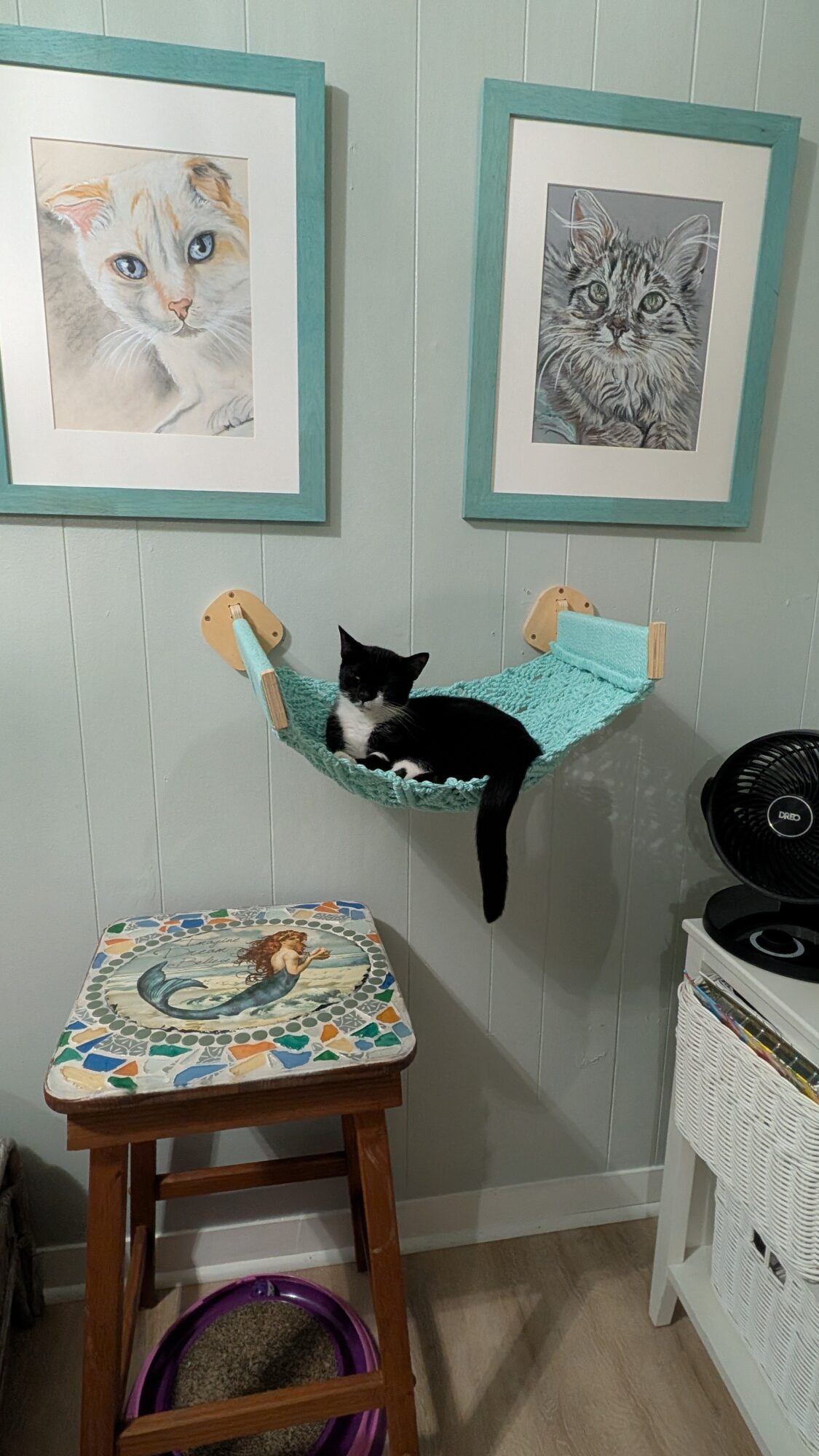 Black and white cat lying in a hammock on a wall, with framed cat pictures above, a small table, and a speaker nearby.