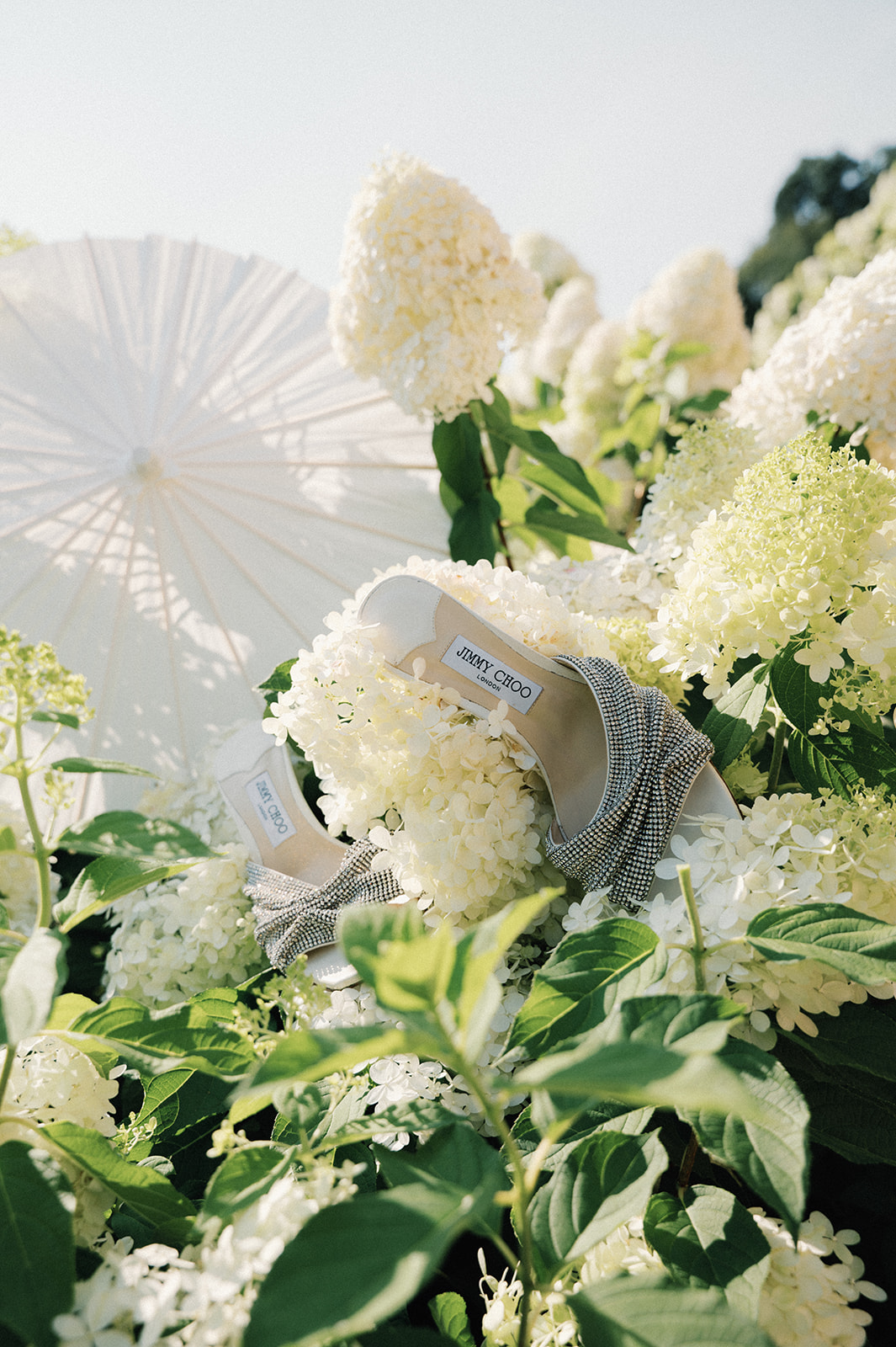 White hydrangea flowers with a white parasol in the background, outdoors, with green leaves around.