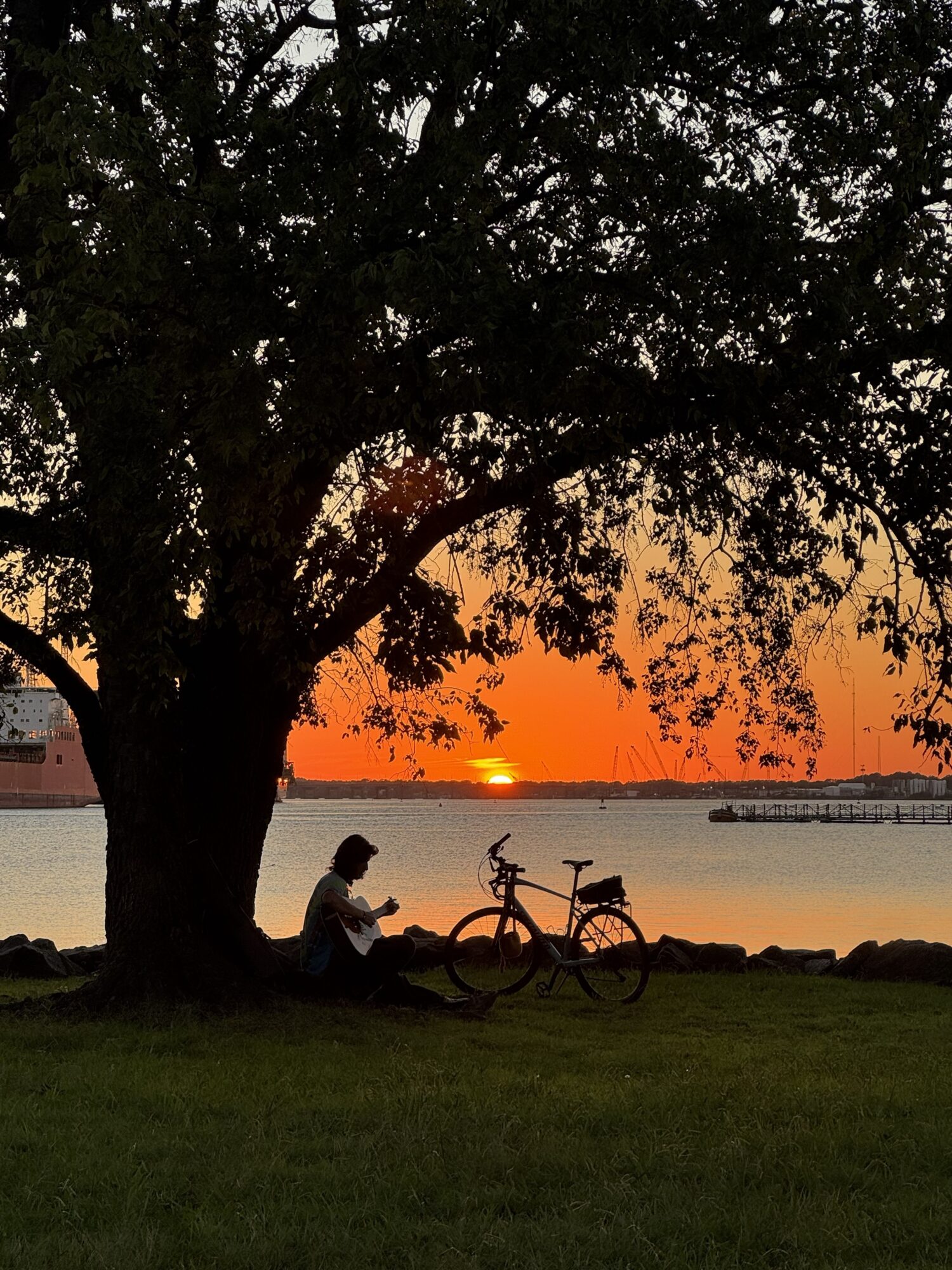 Person sitting under a large tree near water at sunset with a bicycle nearby.