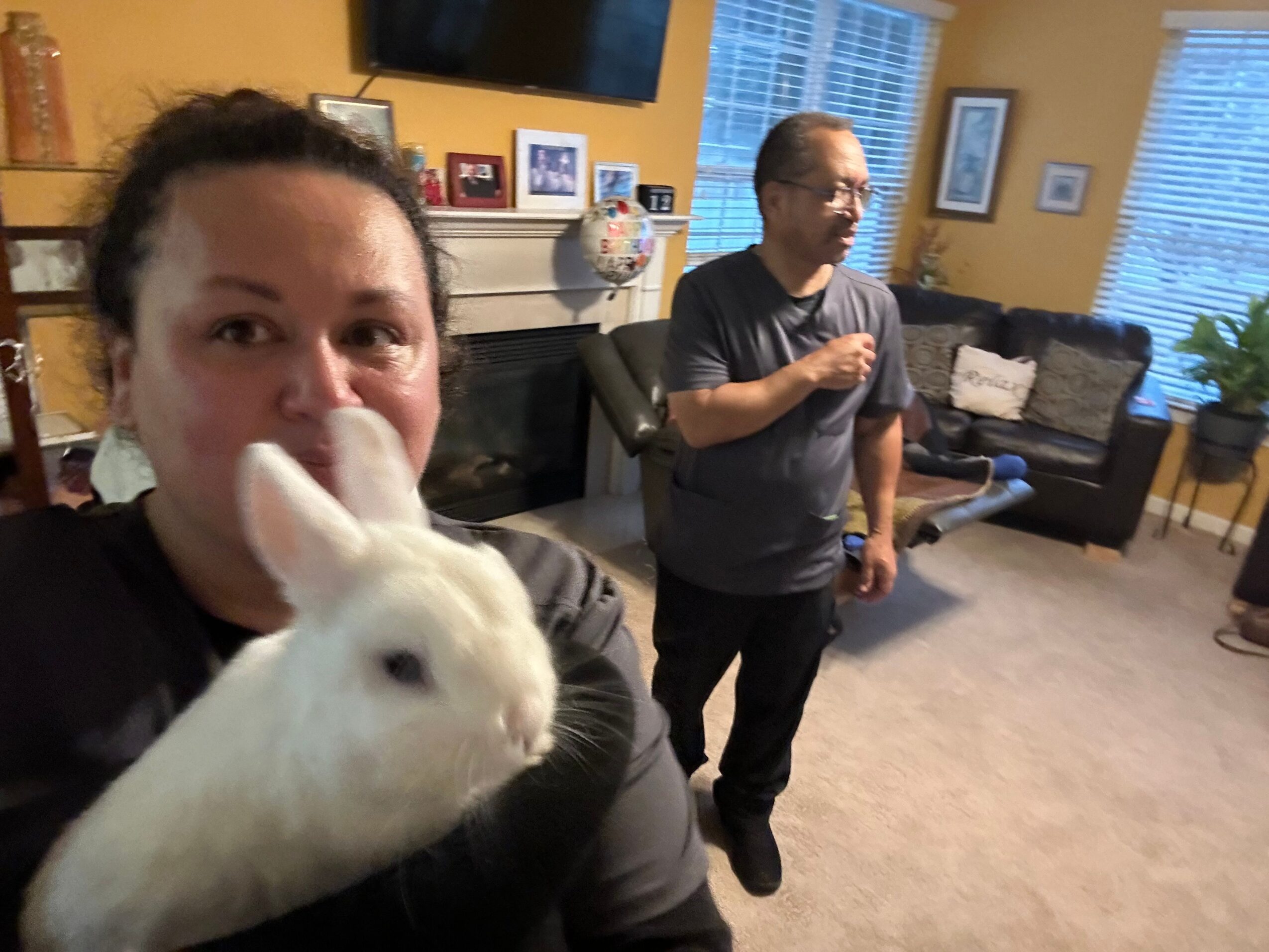 Person holding a white rabbit with a person sitting on a chair in a living room.