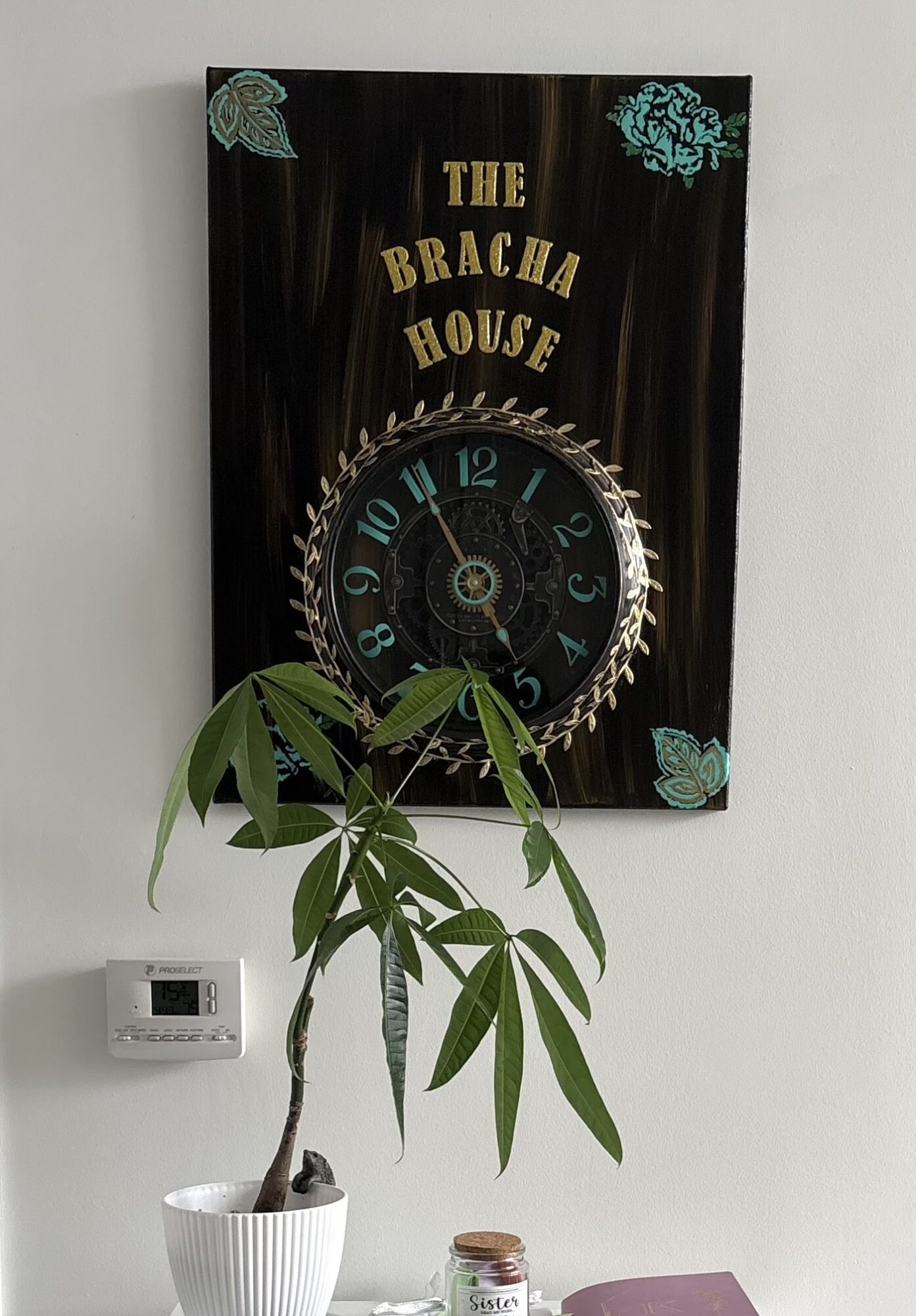 A potted plant with green leaves in front of a black sign reading 'The Bracha House' with a clock face, on a white wall.