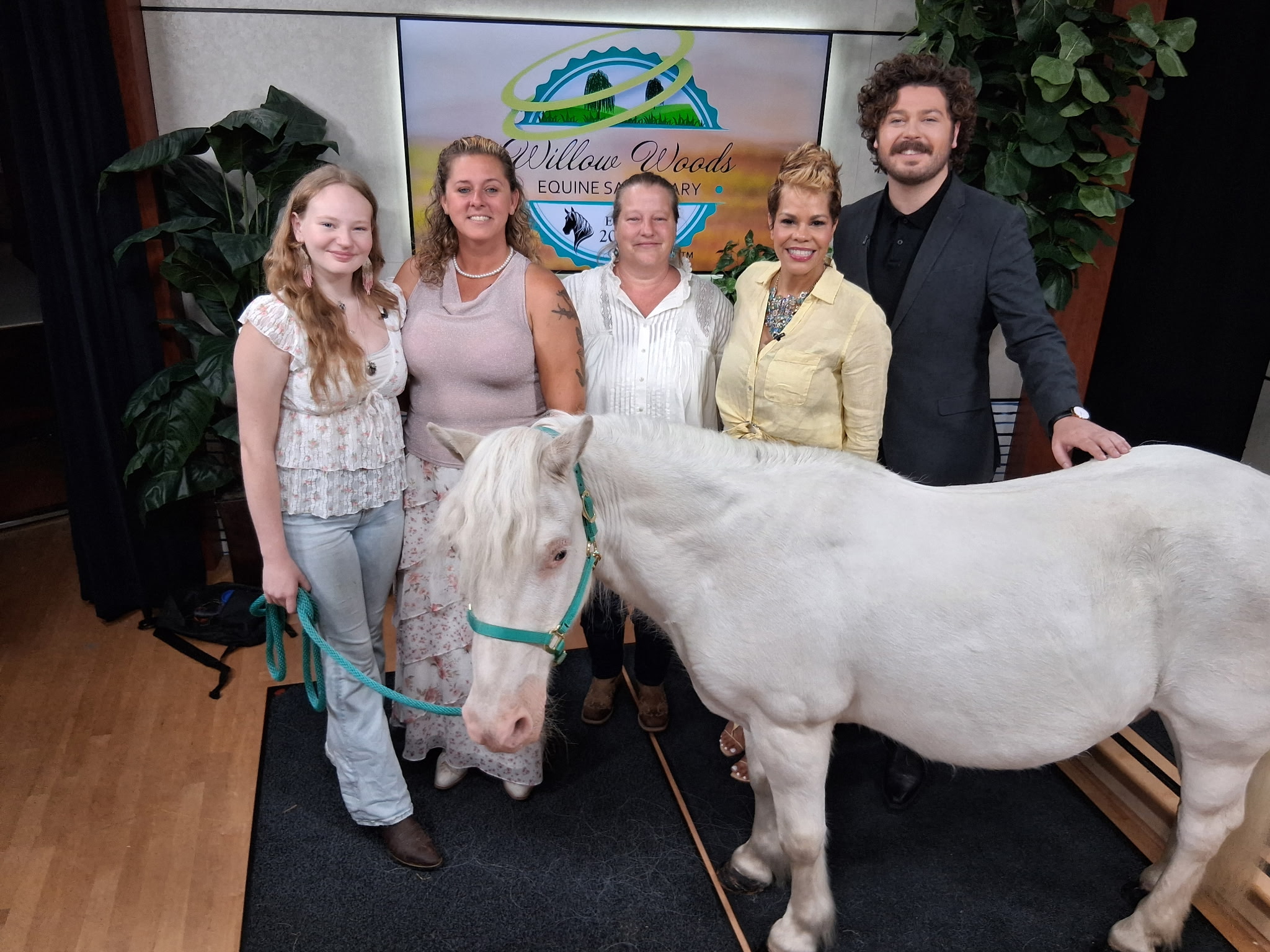Five people stand behind a white cow in front of a colorful sign.
