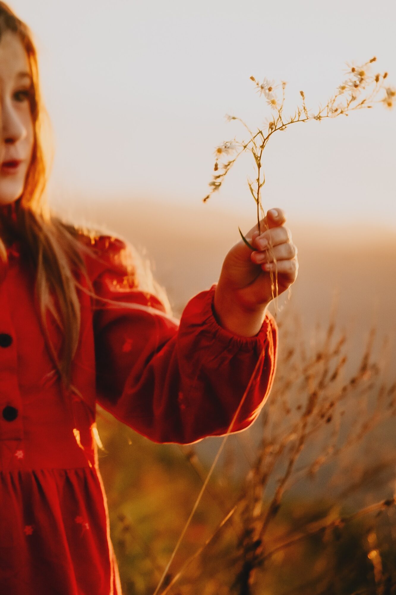 Child in red coat holding a dried plant outdoors during sunset, with a blurred natural background.